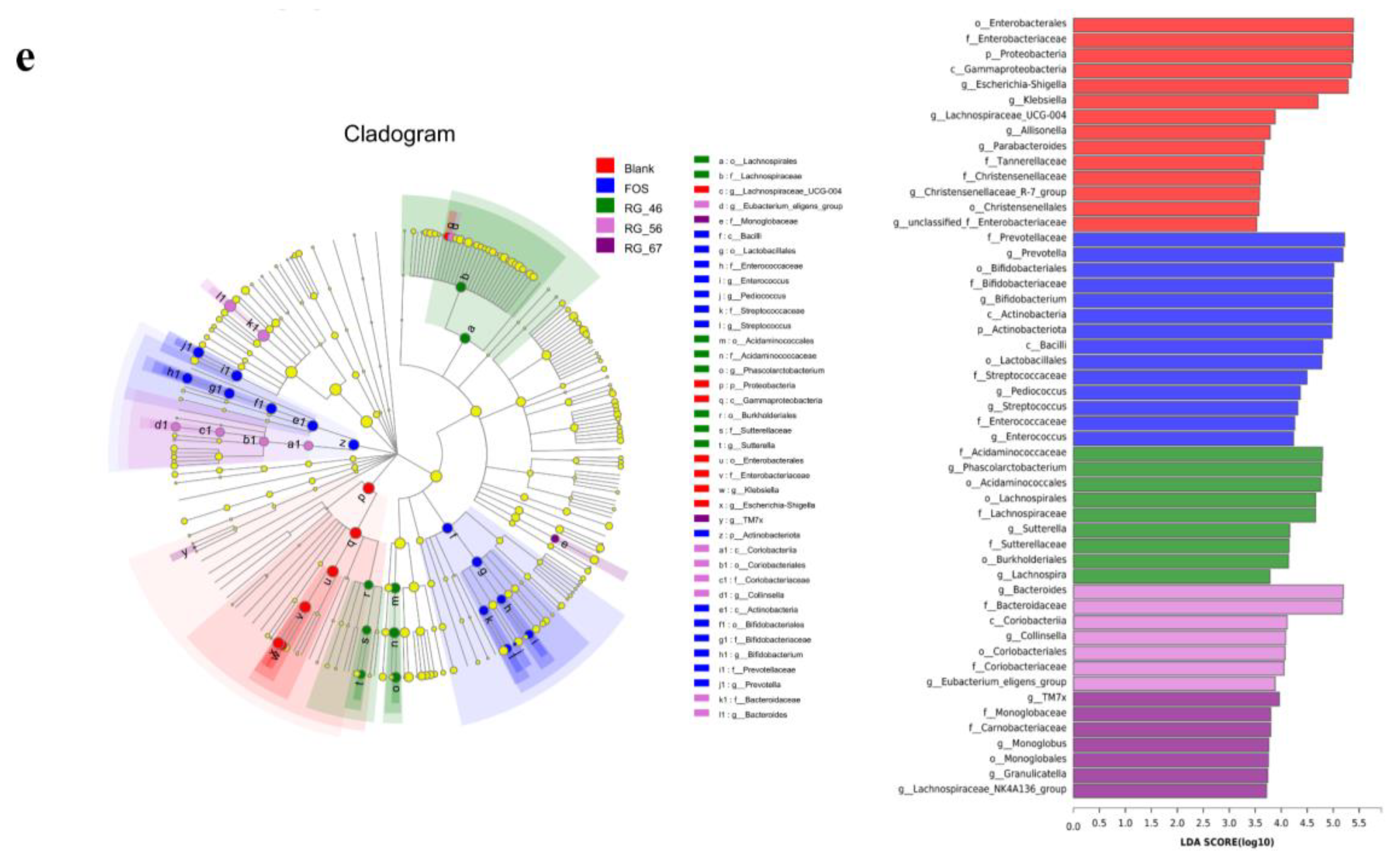 Foods 12 00943 g004b Foods 12 00943 g004b