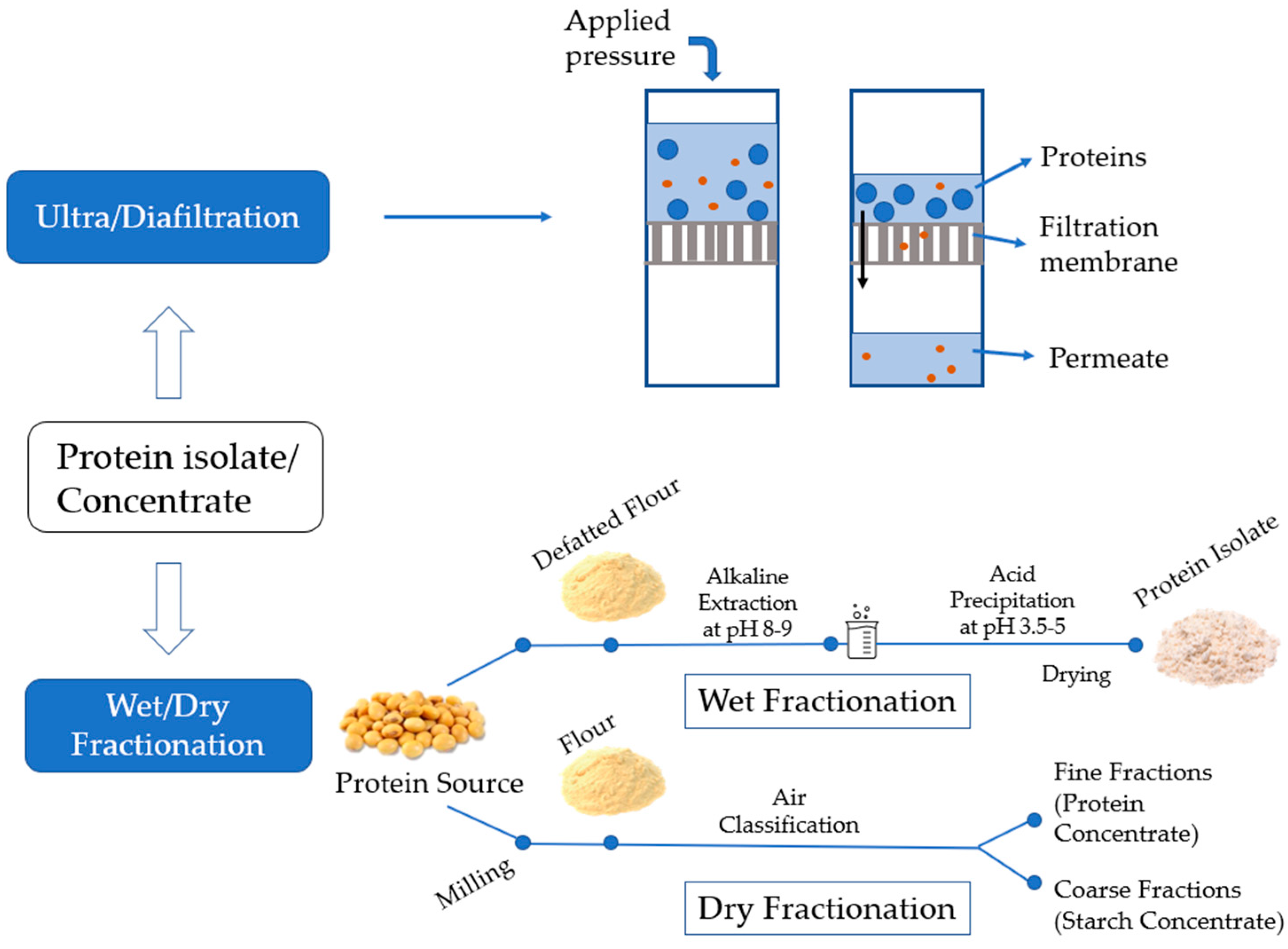 Foods 12 00957 g002 Foods 12 00957 g002