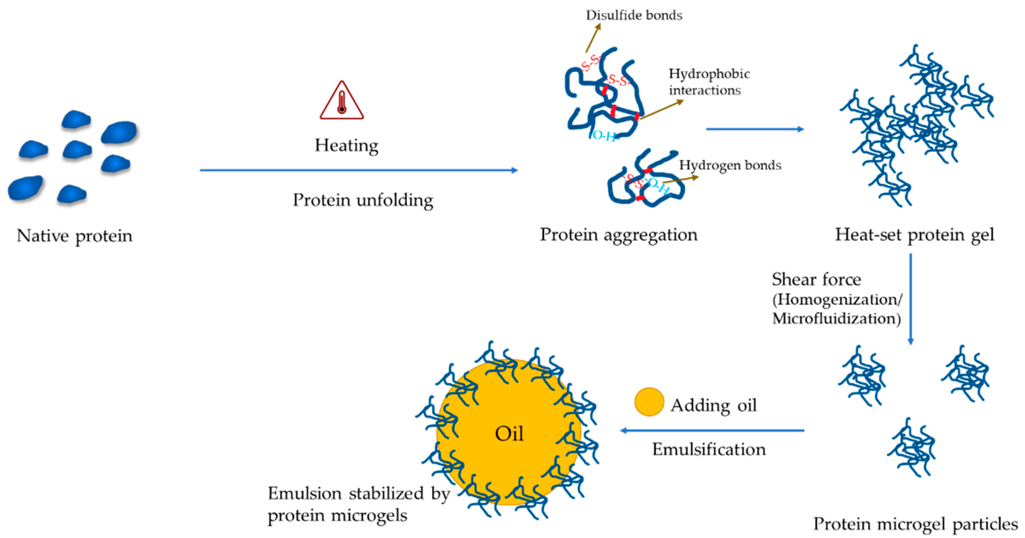 Foods 12 00957 g004 Foods 12 00957 g004