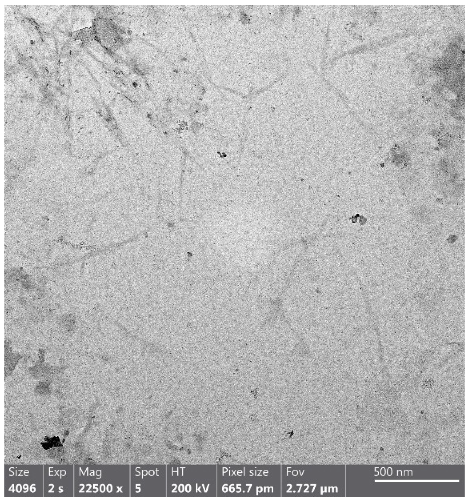 Foods 12 00960 g002 Foods 12 00960 g002