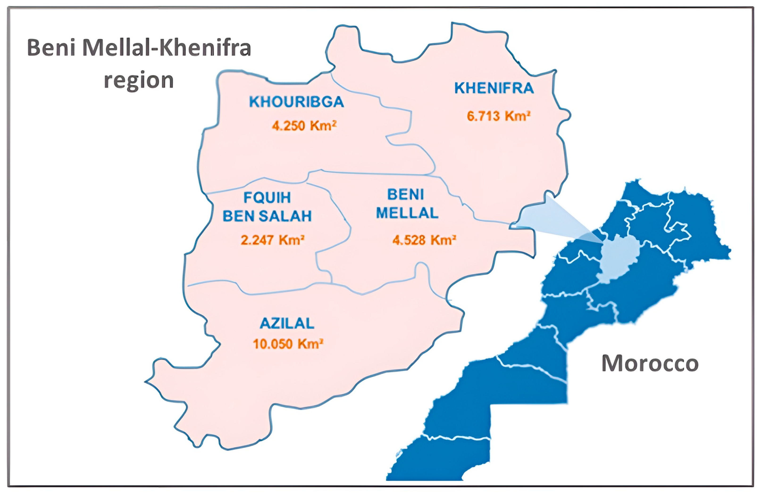 Foods 12 00969 g001 Foods 12 00969 g001