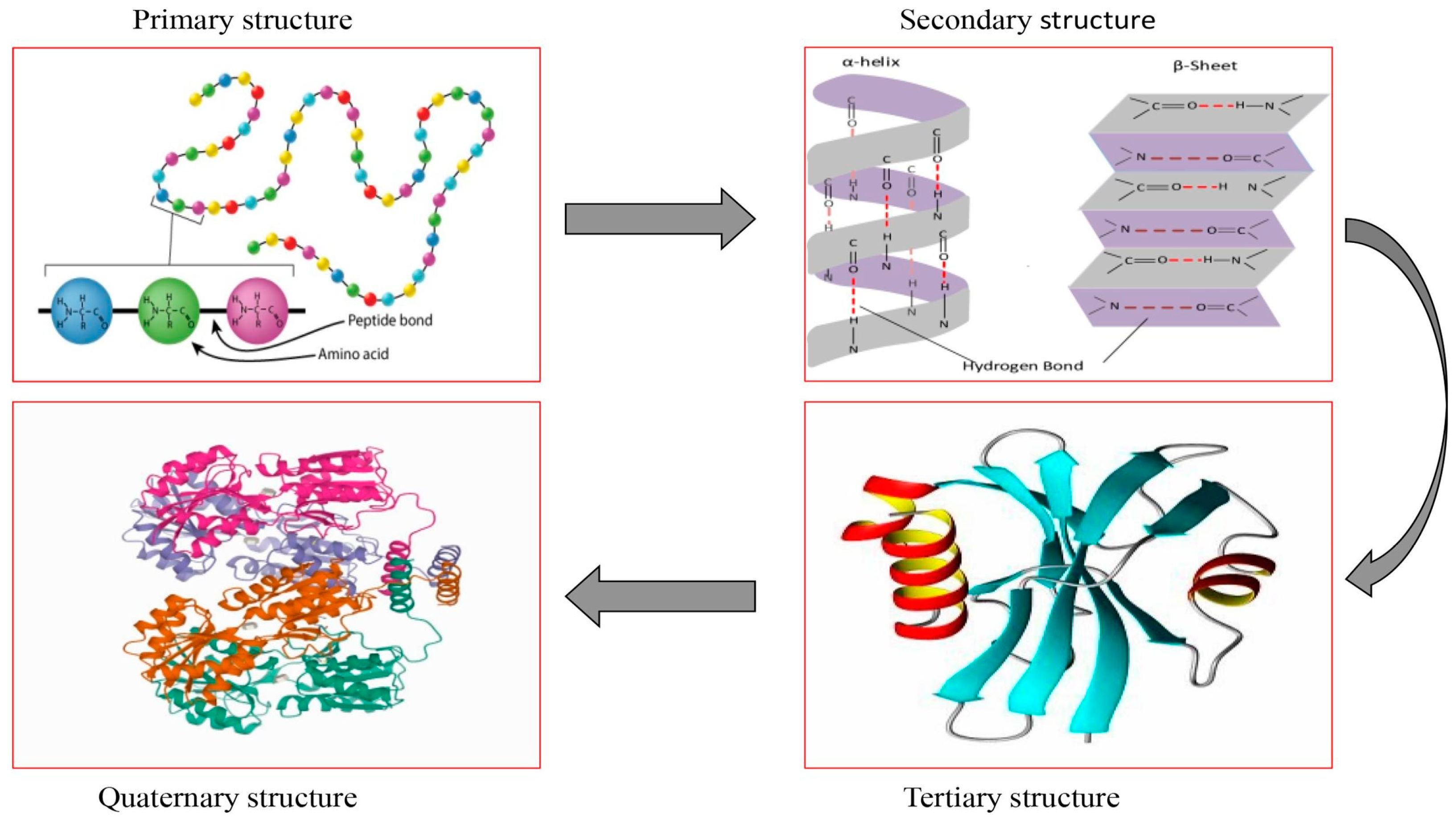 Foods 12 00971 g003 Foods 12 00971 g003