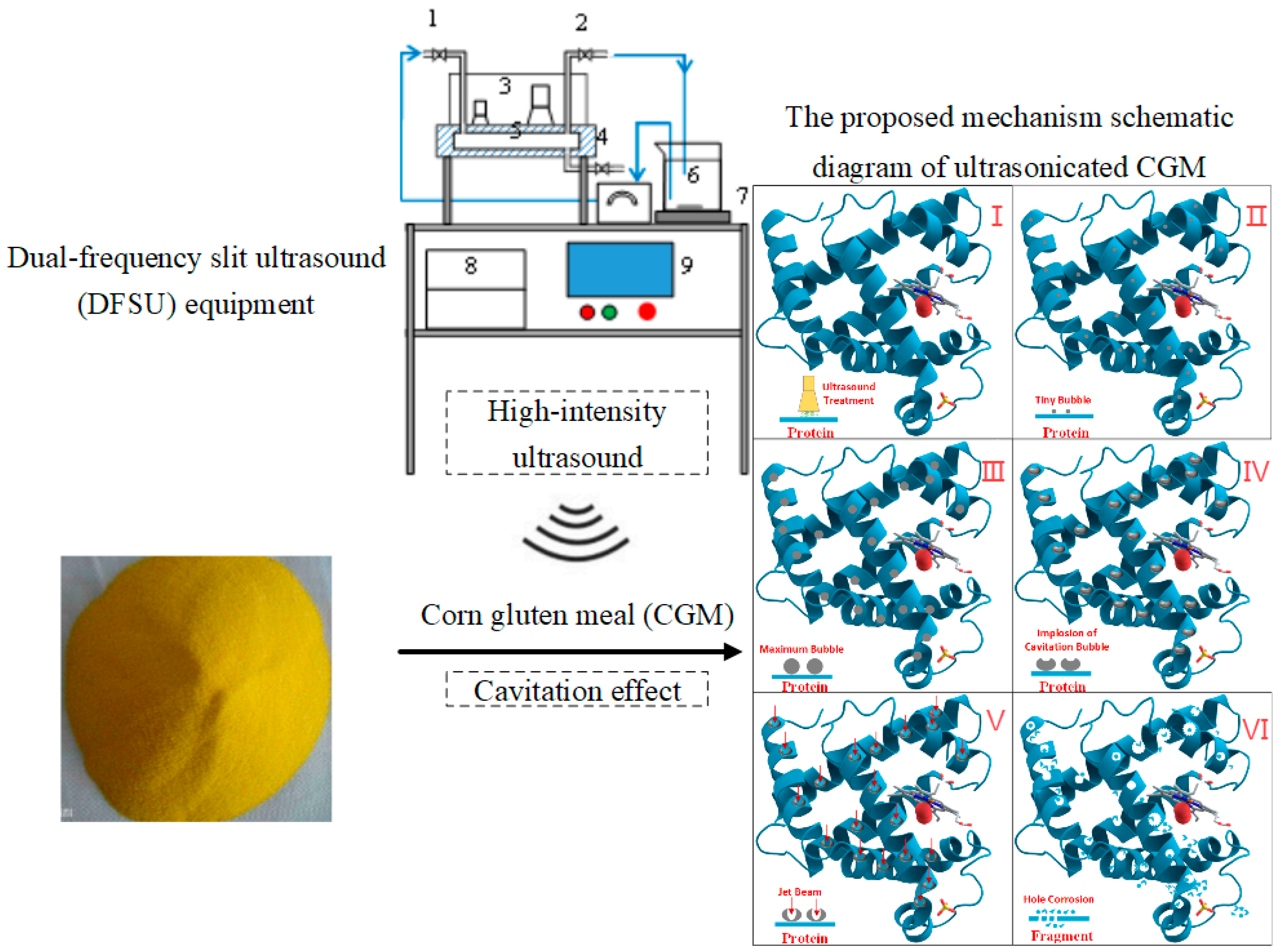 Foods 12 00971 g004 Foods 12 00971 g004