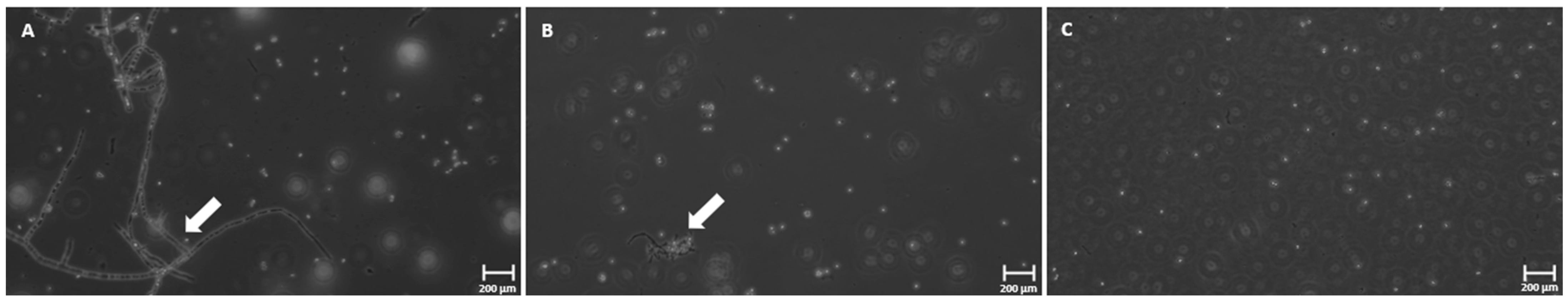 Foods 12 00978 g002 Foods 12 00978 g002