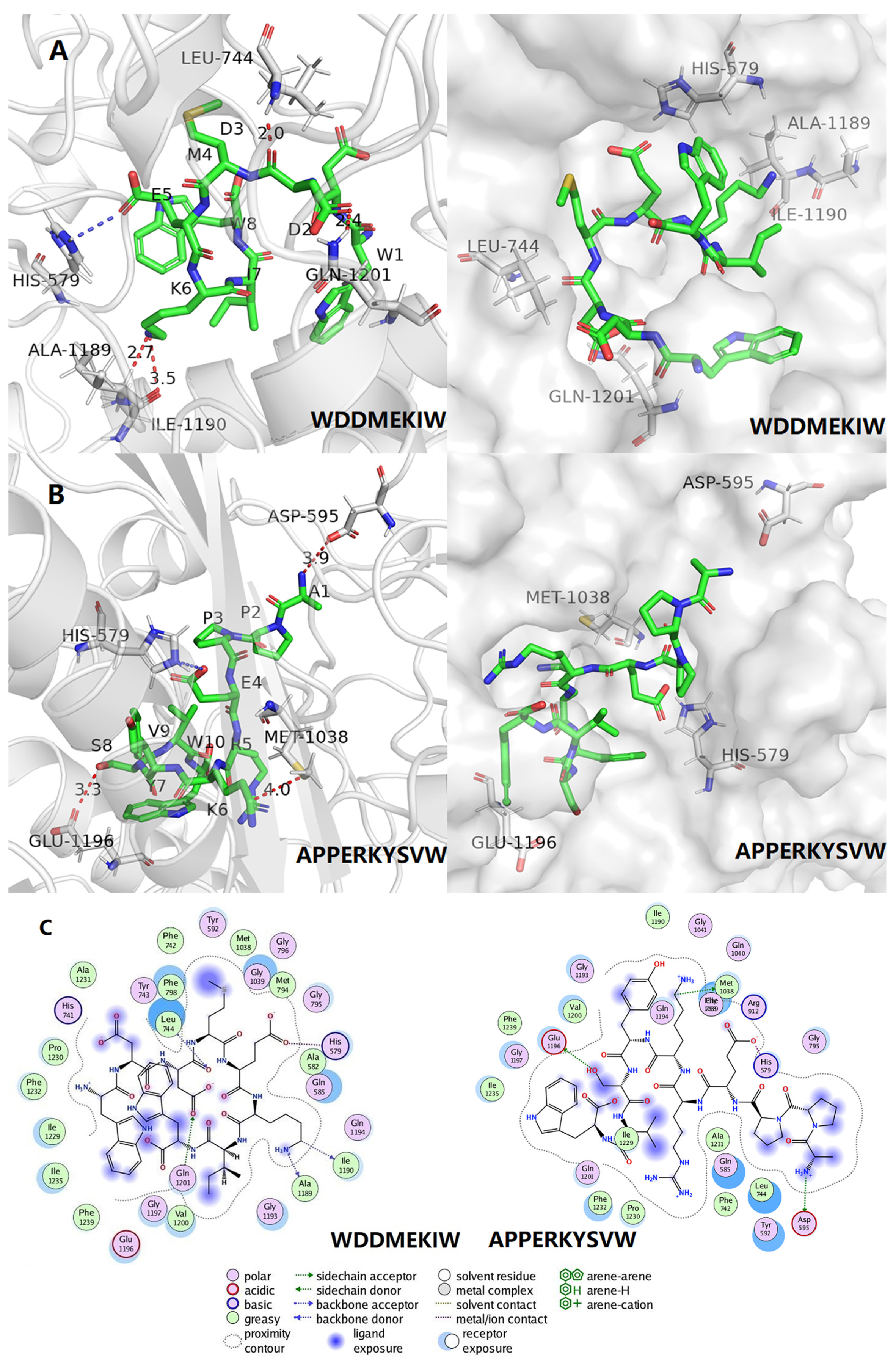 Foods 12 00982 g005 Foods 12 00982 g005