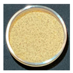 Foods 12 00999 i001 Foods 12 00999 i001