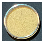 Foods 12 00999 i002 Foods 12 00999 i002