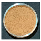 Foods 12 00999 i003 Foods 12 00999 i003