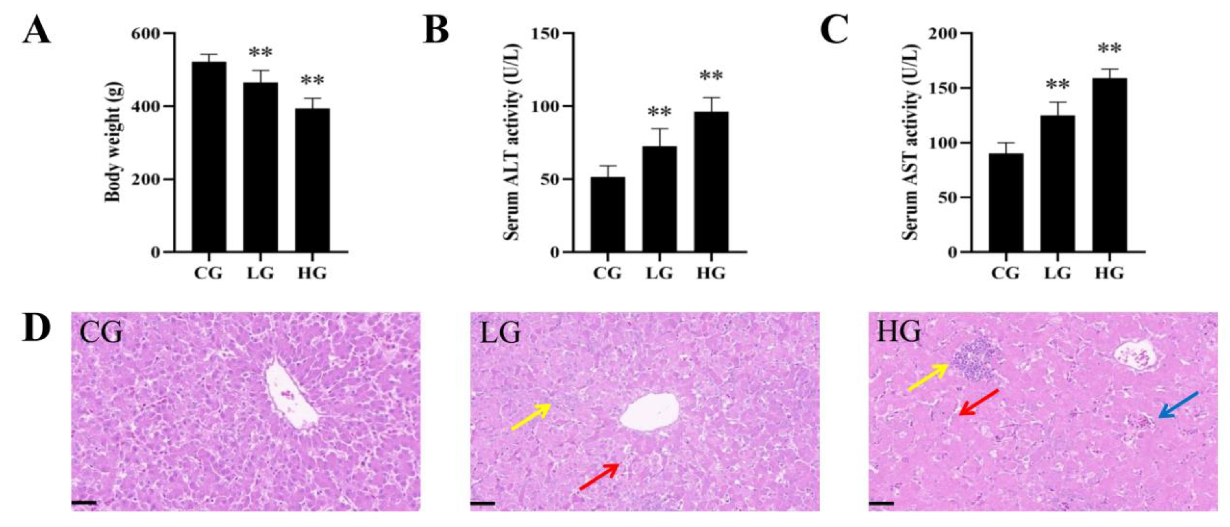 Foods 12 01006 g002 Foods 12 01006 g002