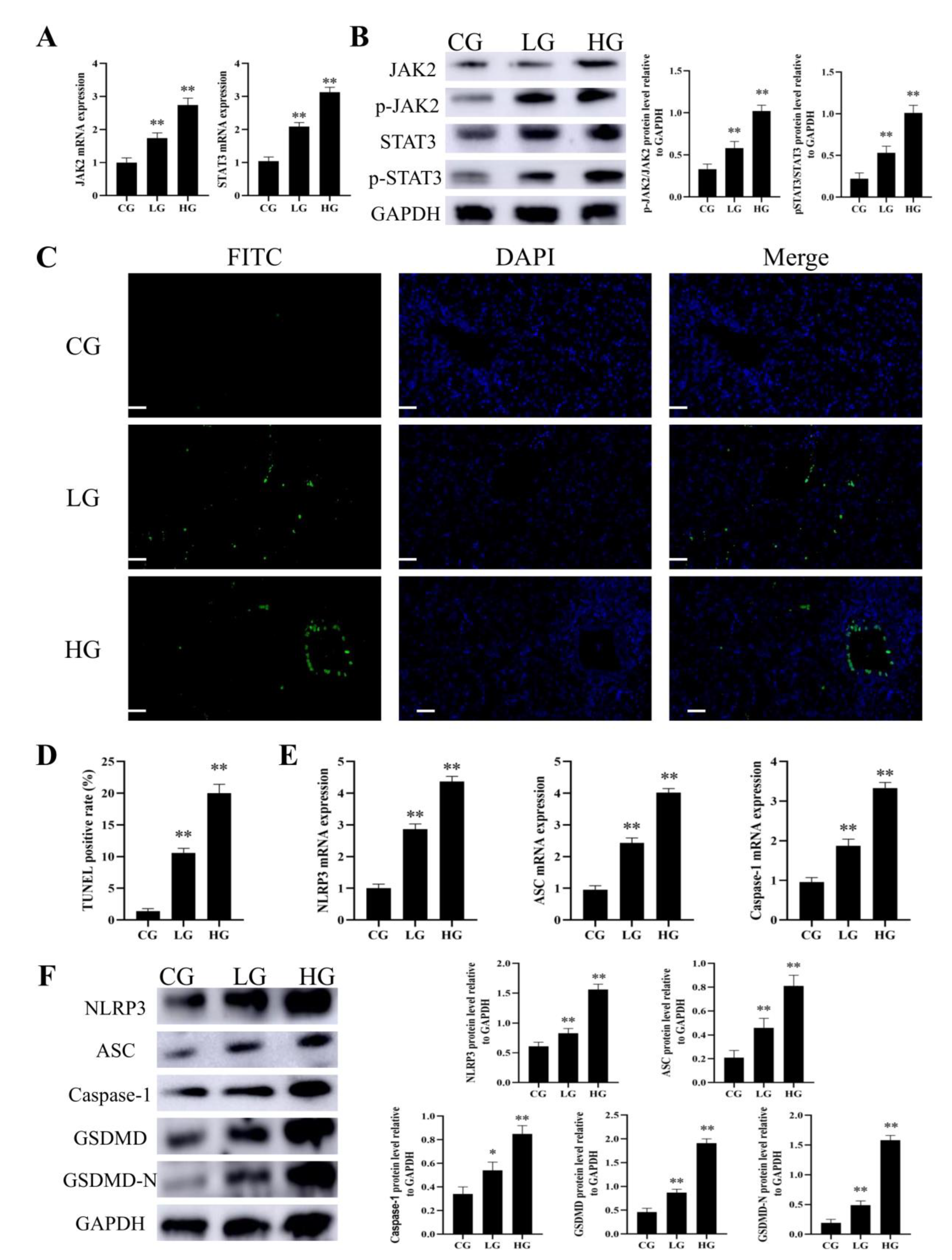 Foods 12 01006 g003 Foods 12 01006 g003