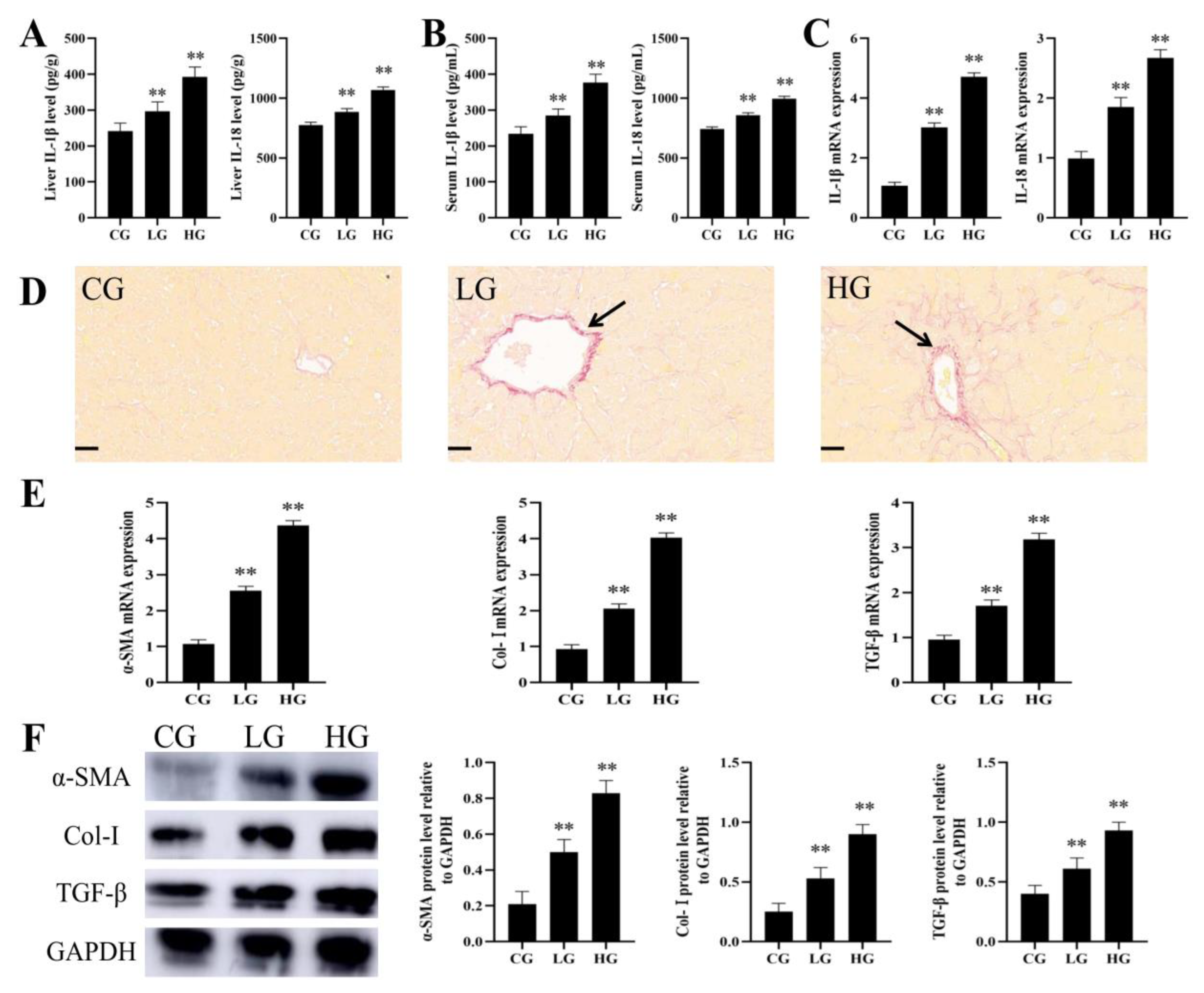 Foods 12 01006 g004 Foods 12 01006 g004