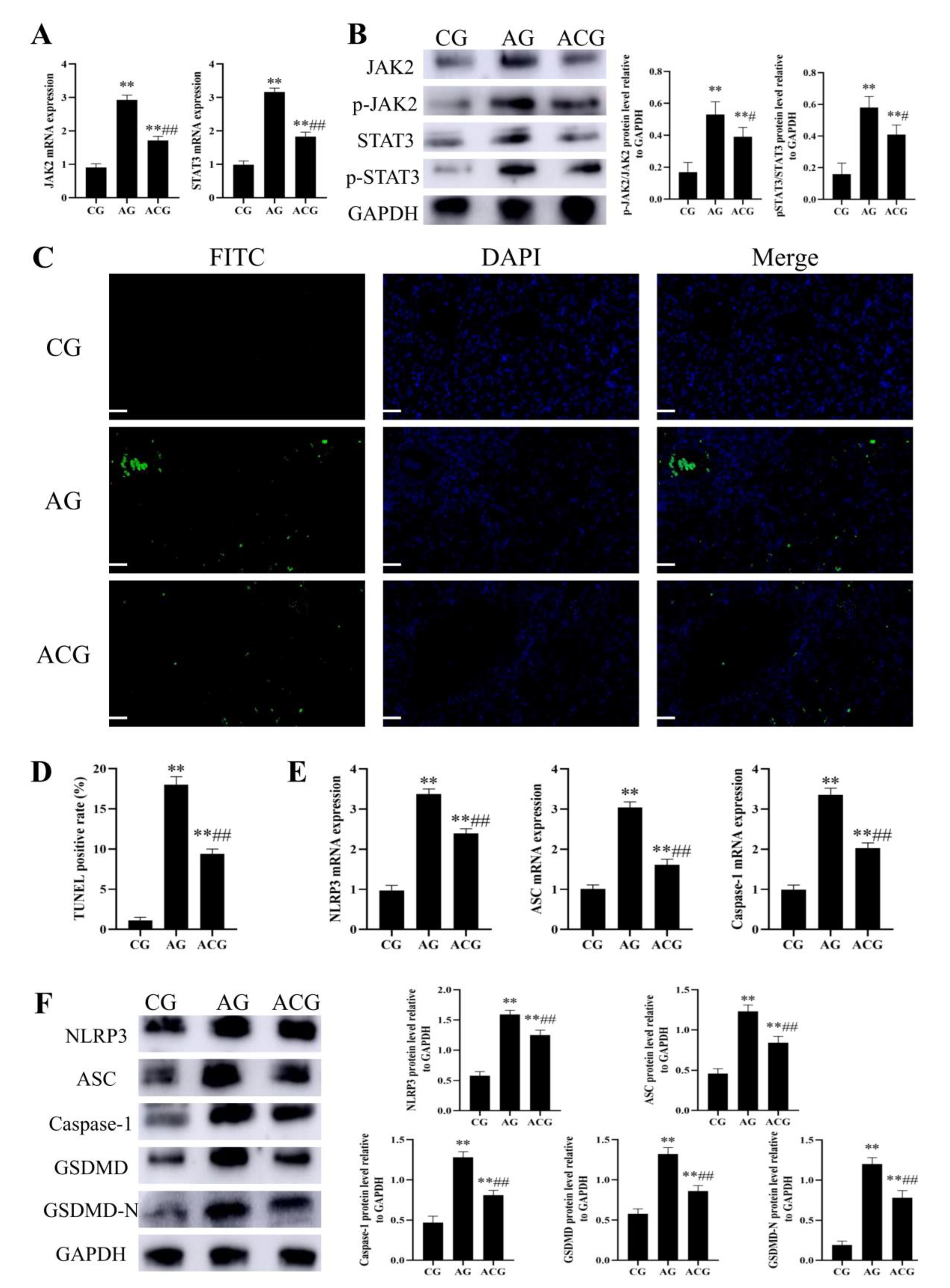 Foods 12 01006 g006 Foods 12 01006 g006