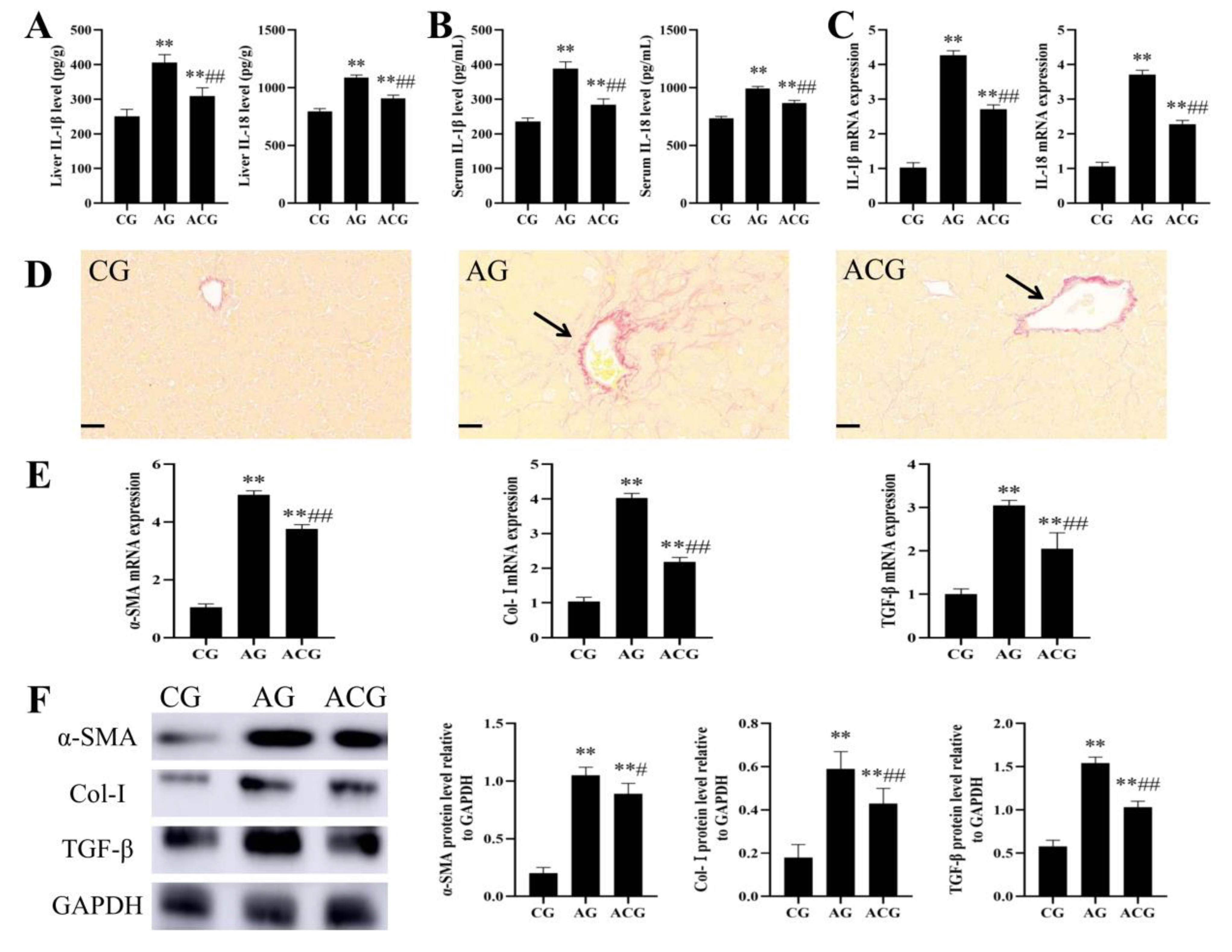 Foods 12 01006 g007 Foods 12 01006 g007