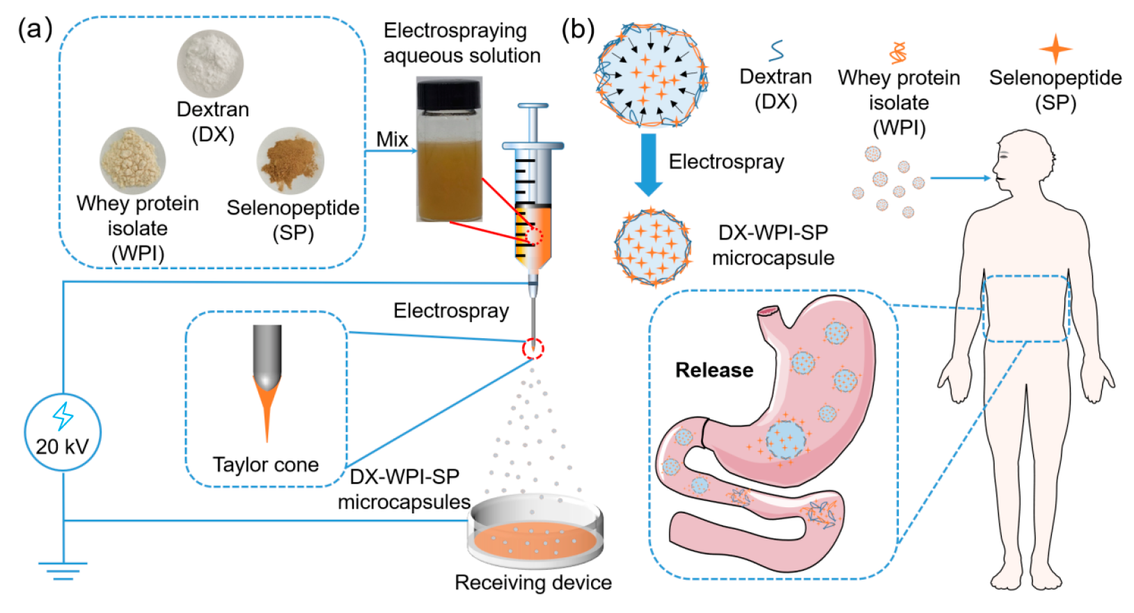 Foods 12 01008 sch001