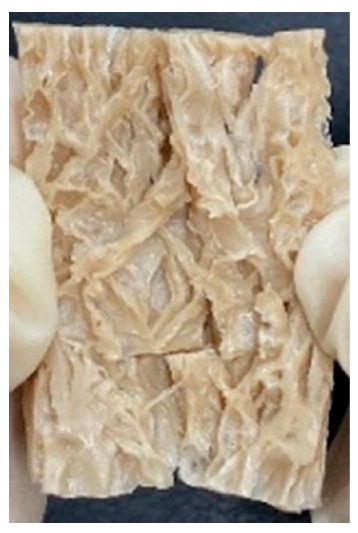 Foods 12 01011 i005 Foods 12 01011 i005