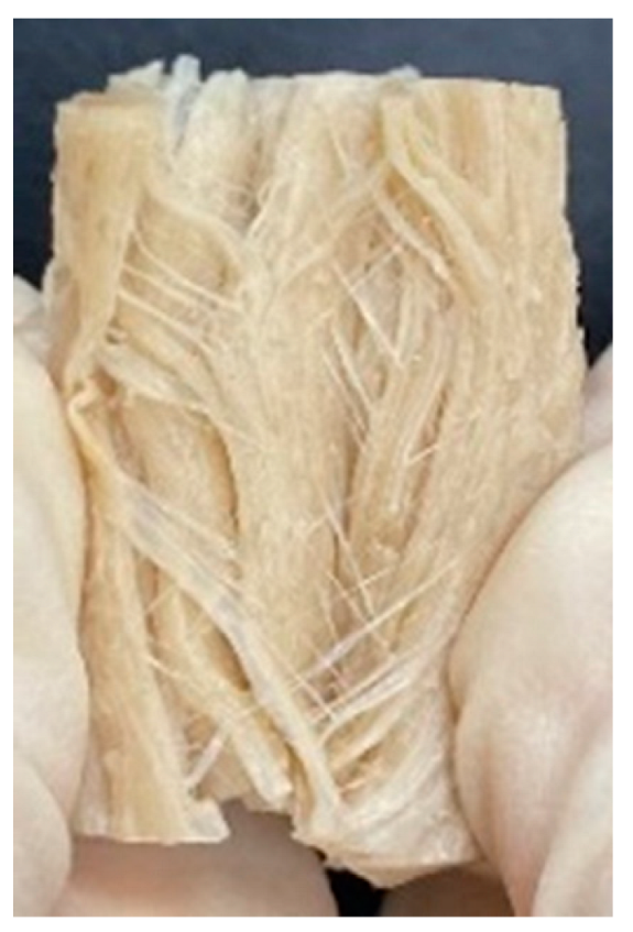 Foods 12 01011 i006 Foods 12 01011 i006