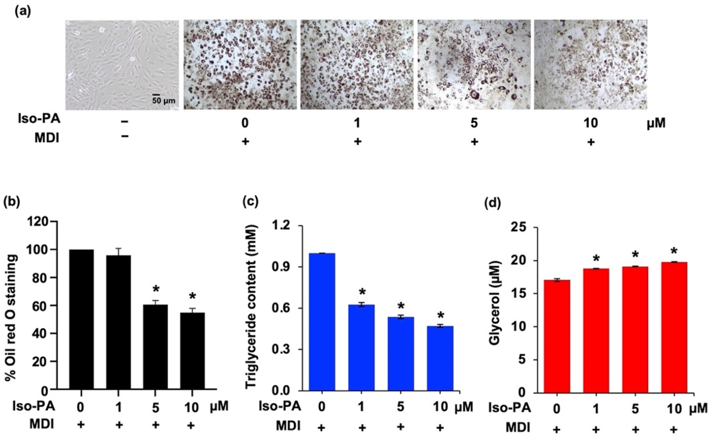 Foods 12 01014 g001 Foods 12 01014 g001