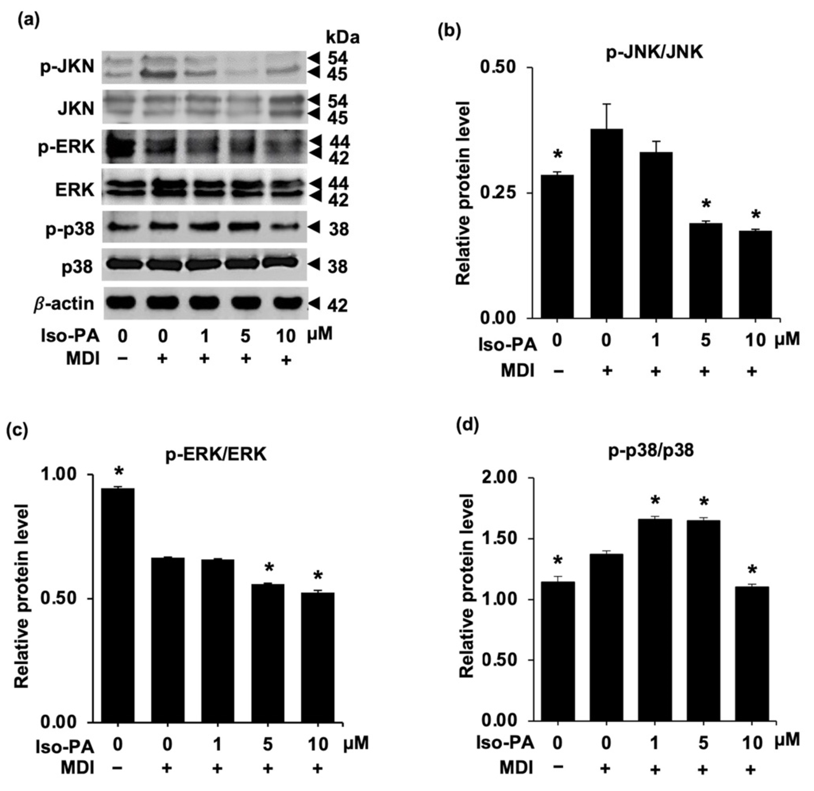 Foods 12 01014 g006 Foods 12 01014 g006