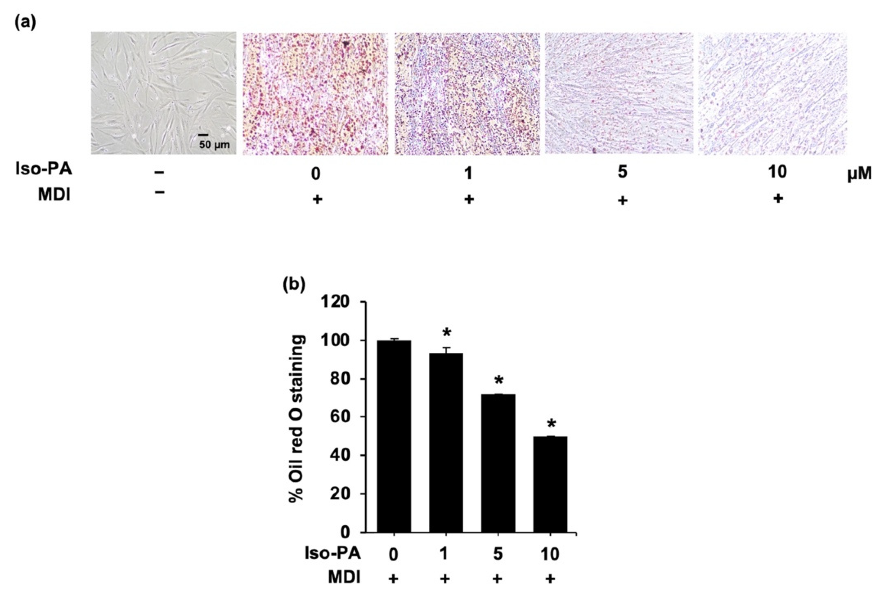 Foods 12 01014 g008 Foods 12 01014 g008