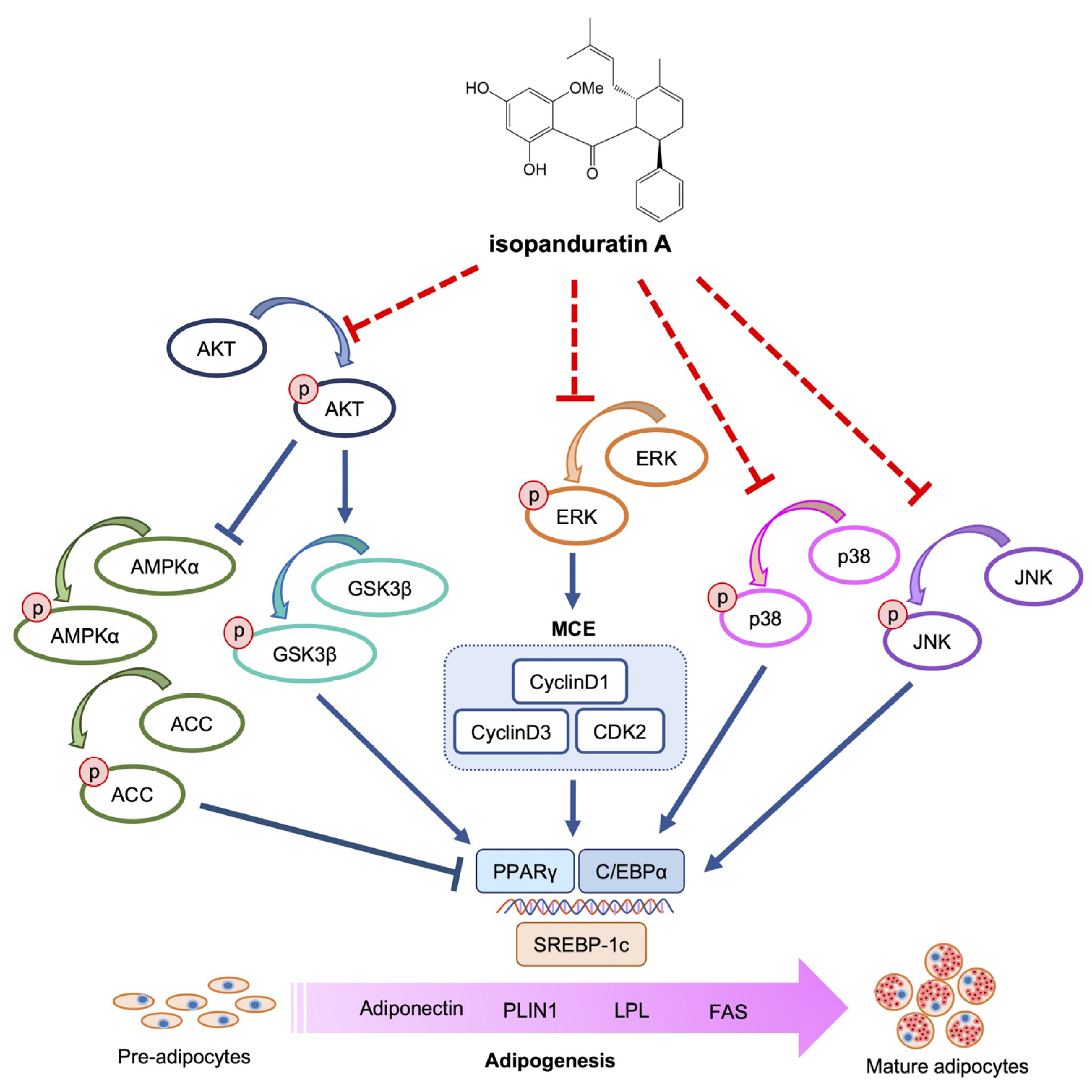 Foods 12 01014 g009 Foods 12 01014 g009