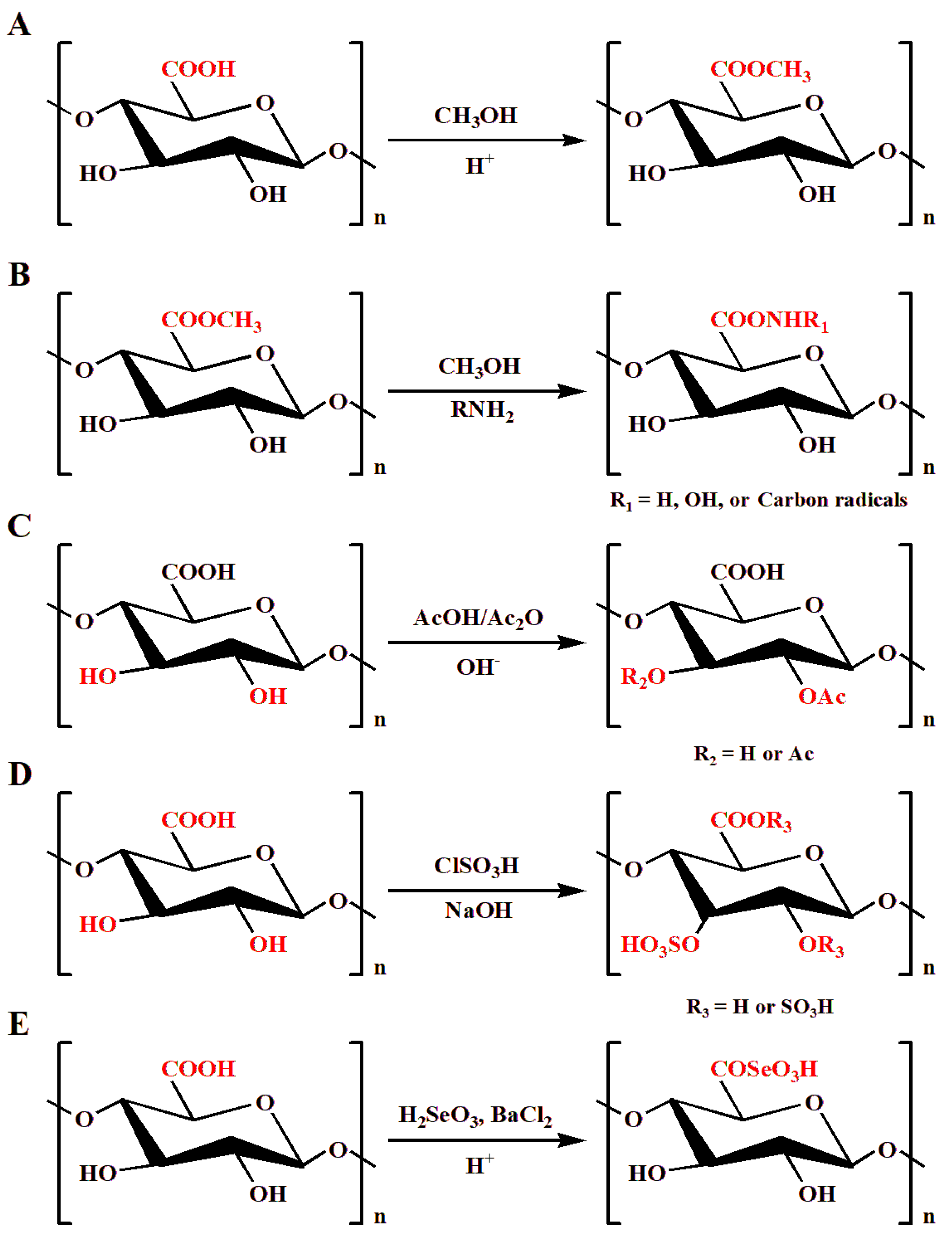 Foods 12 01016 g001 Foods 12 01016 g001