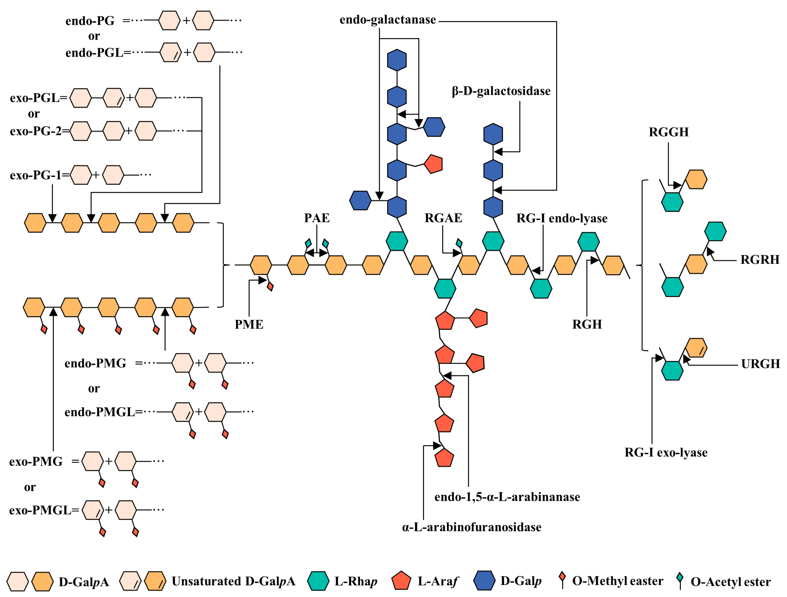 Foods 12 01016 g002 Foods 12 01016 g002