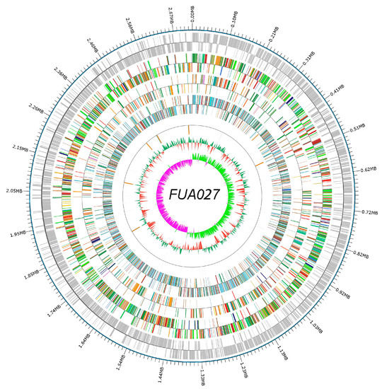and Probiotic Characteristics of Urolithin A Producing