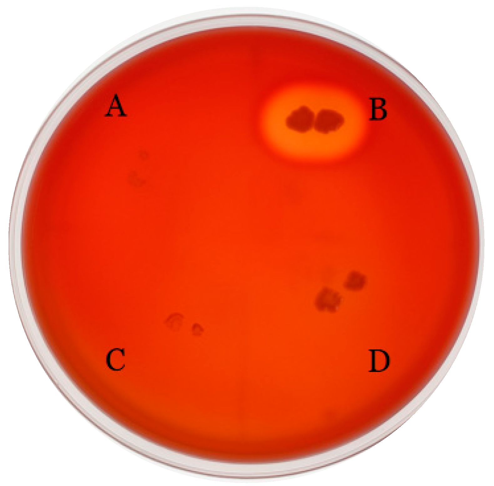 Foods 12 01021 g002 Foods 12 01021 g002