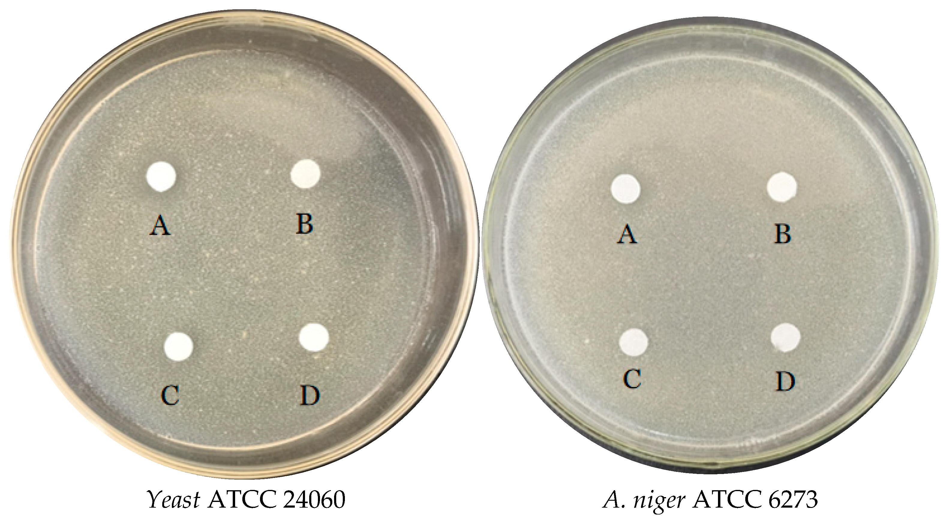 Foods 12 01021 g004b Foods 12 01021 g004b