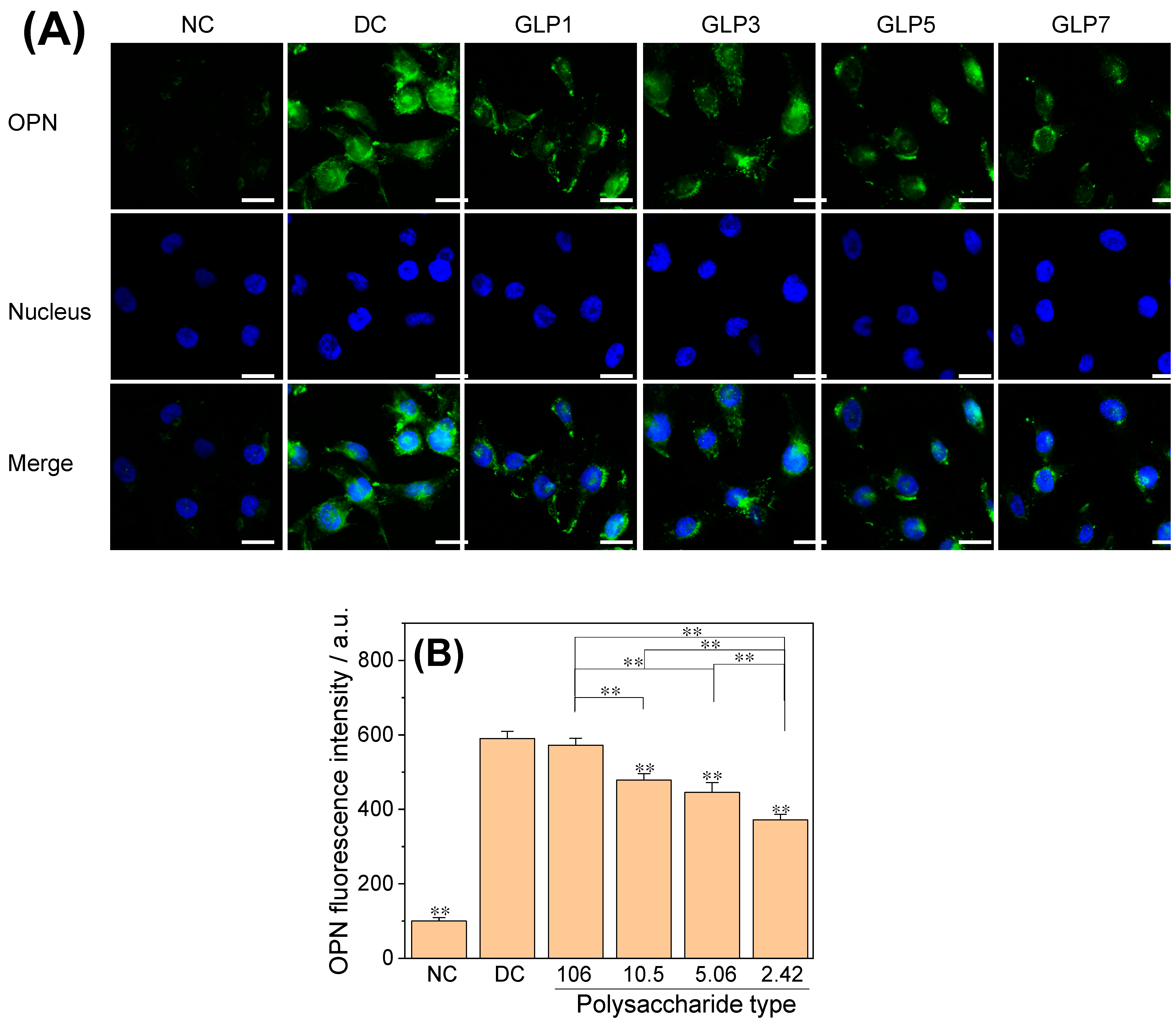 Foods 12 01031 g008 Foods 12 01031 g008