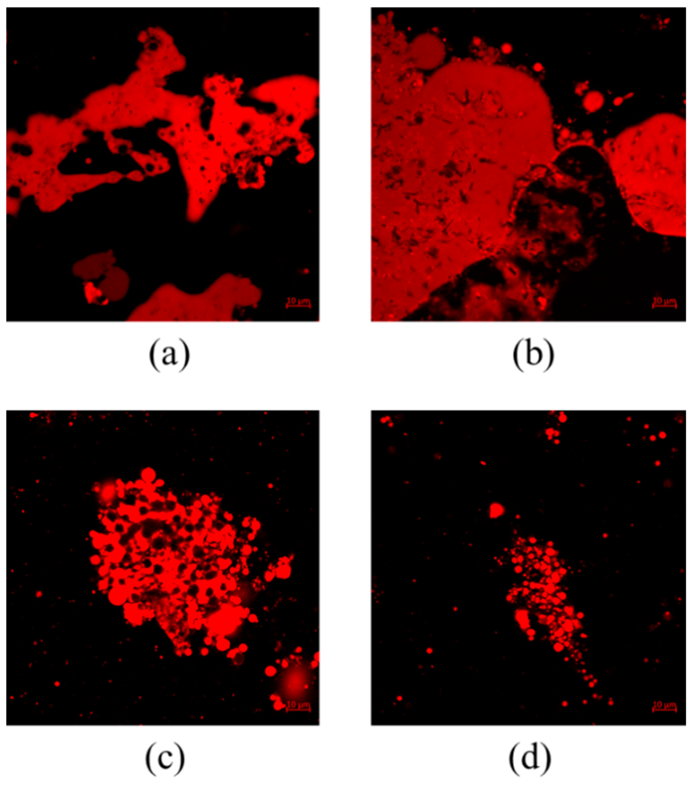 Foods 12 01056 g001 Foods 12 01056 g001
