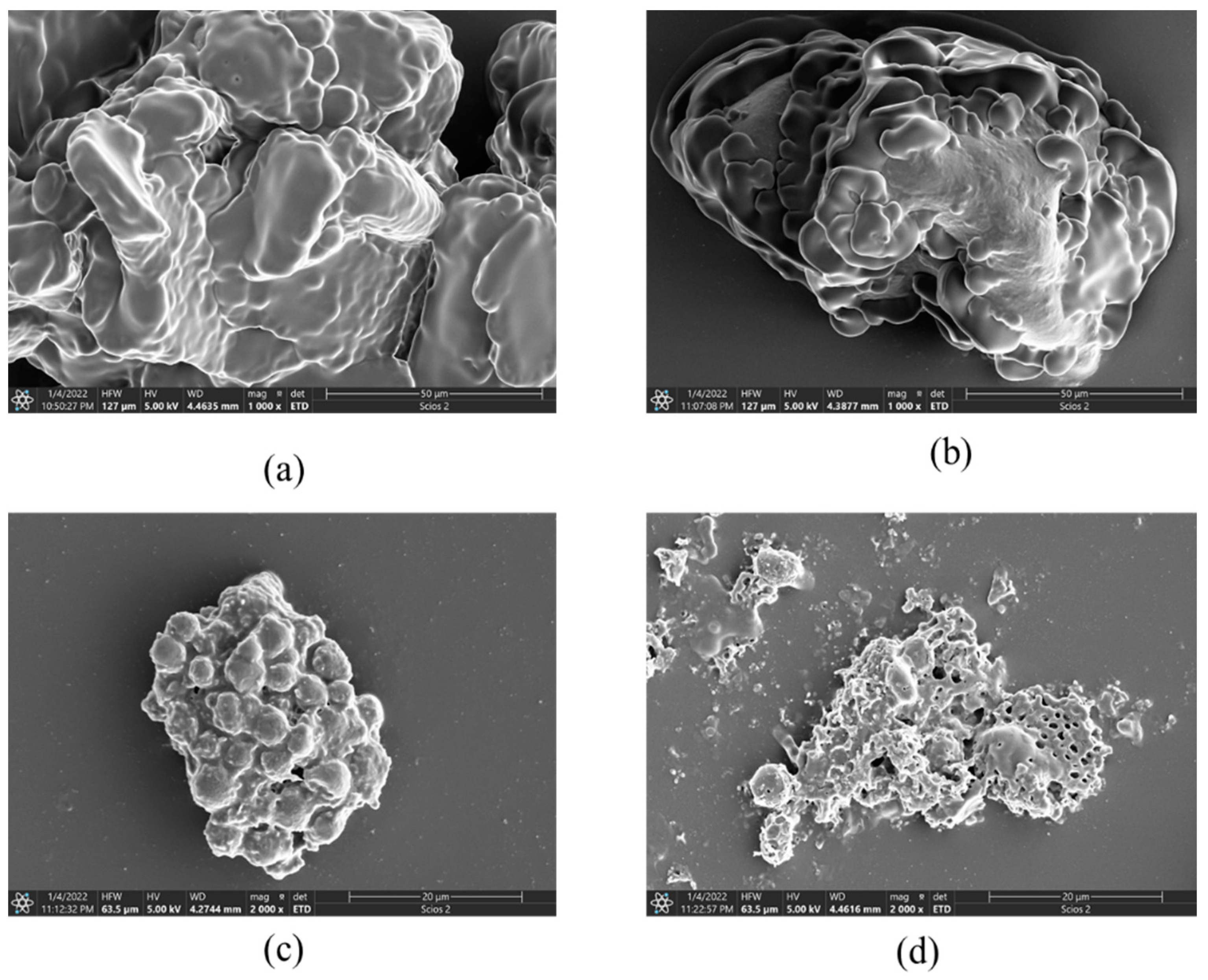 Foods 12 01056 g002 Foods 12 01056 g002