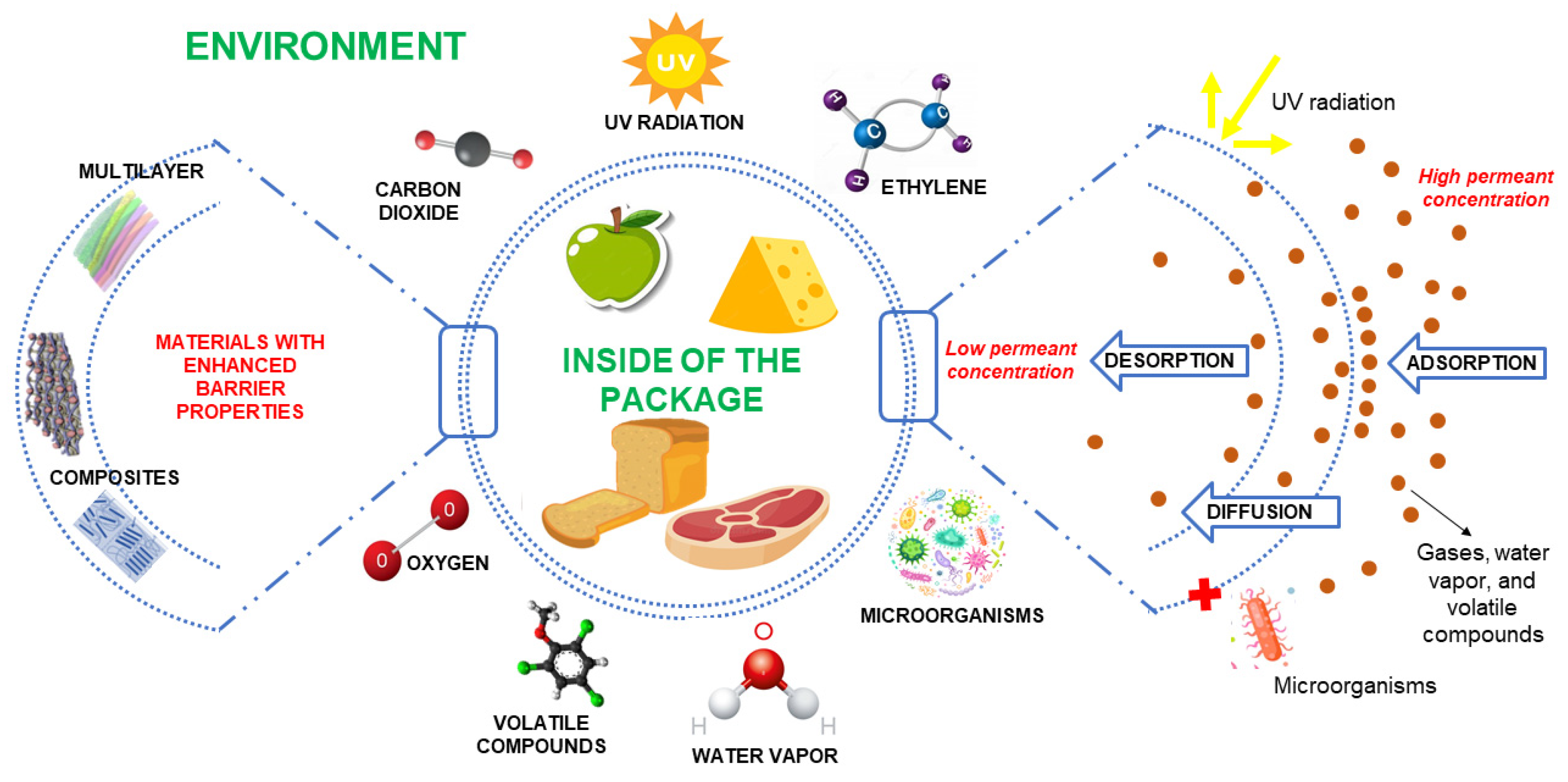 Foods Free FullText Sustainable and BioBased Food Packaging A