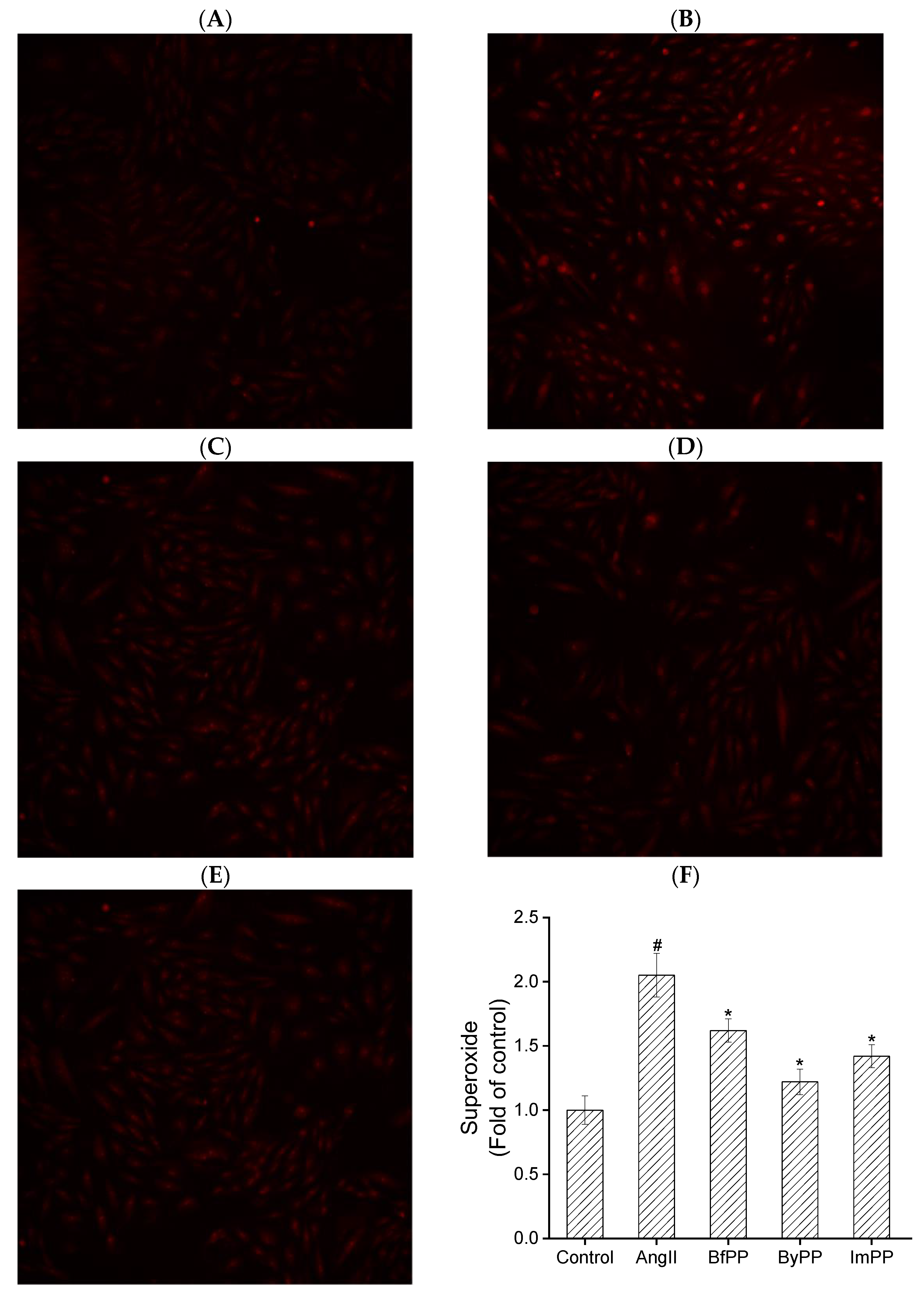 Foods 12 01061 g005 Foods 12 01061 g005