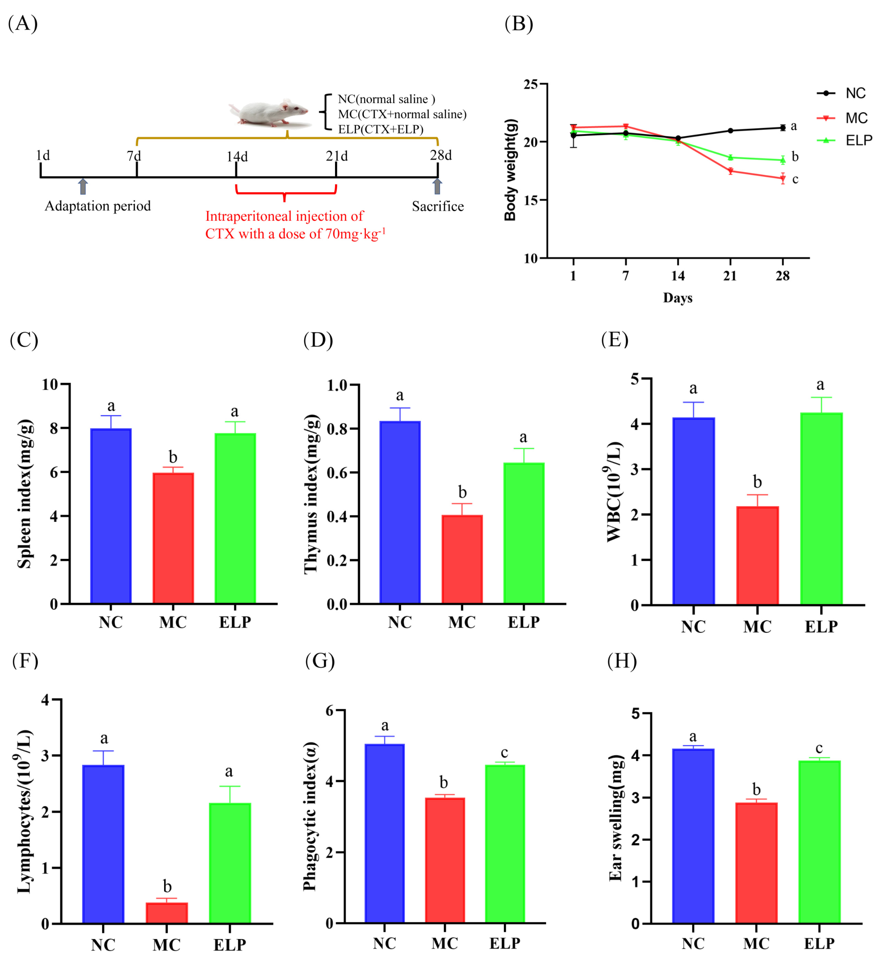 Foods 12 01062 g003 Foods 12 01062 g003