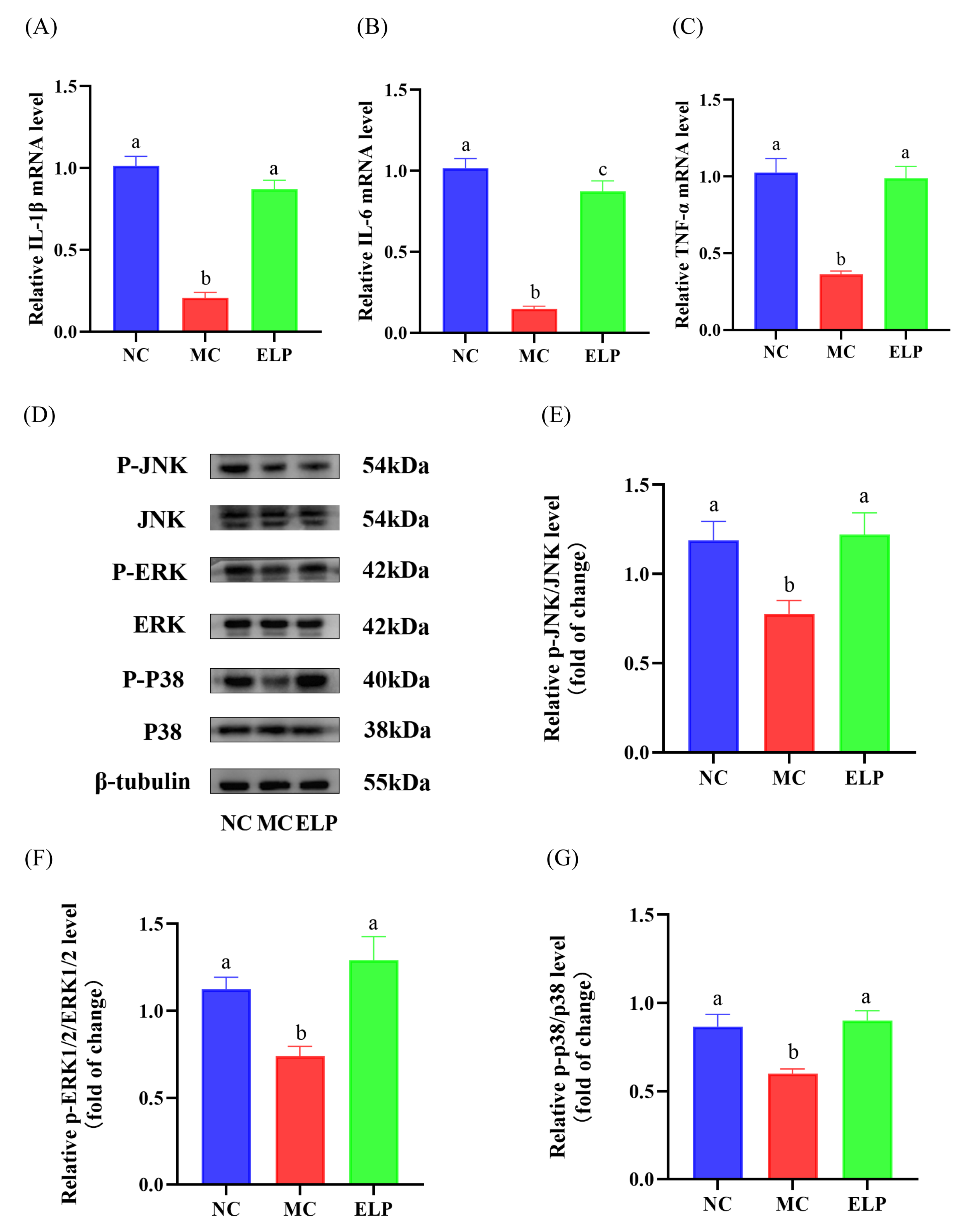Foods 12 01062 g006 Foods 12 01062 g006