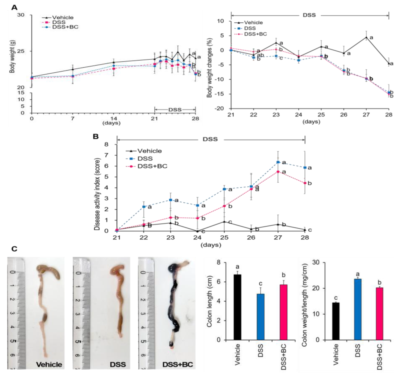 Foods 12 01073 g001 Foods 12 01073 g001