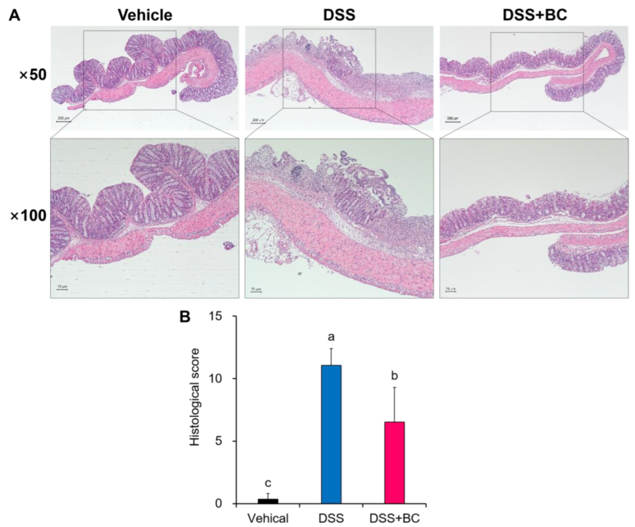 Foods 12 01073 g002 Foods 12 01073 g002
