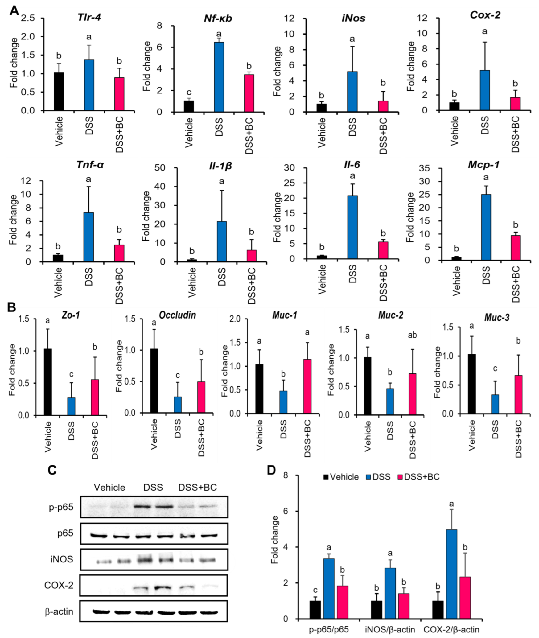 Foods 12 01073 g003 Foods 12 01073 g003