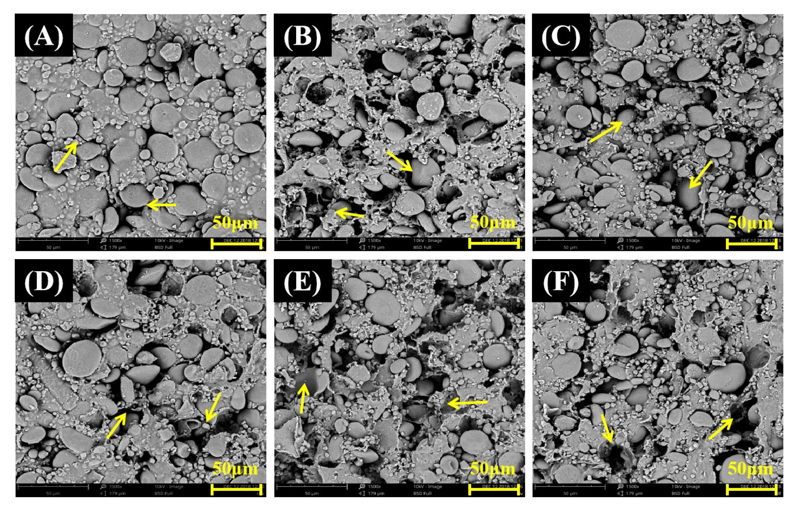 Foods 12 01074 g002 Foods 12 01074 g002