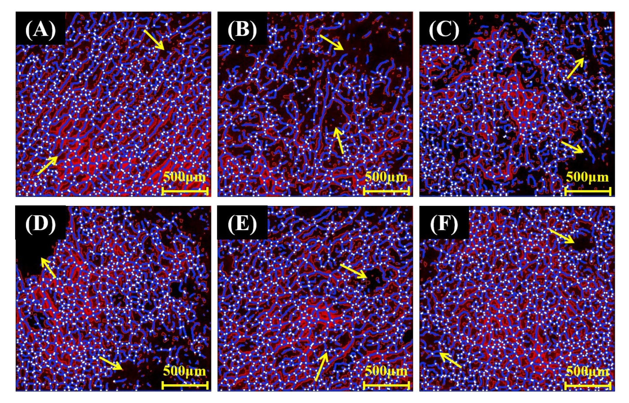 Foods 12 01074 g003 Foods 12 01074 g003