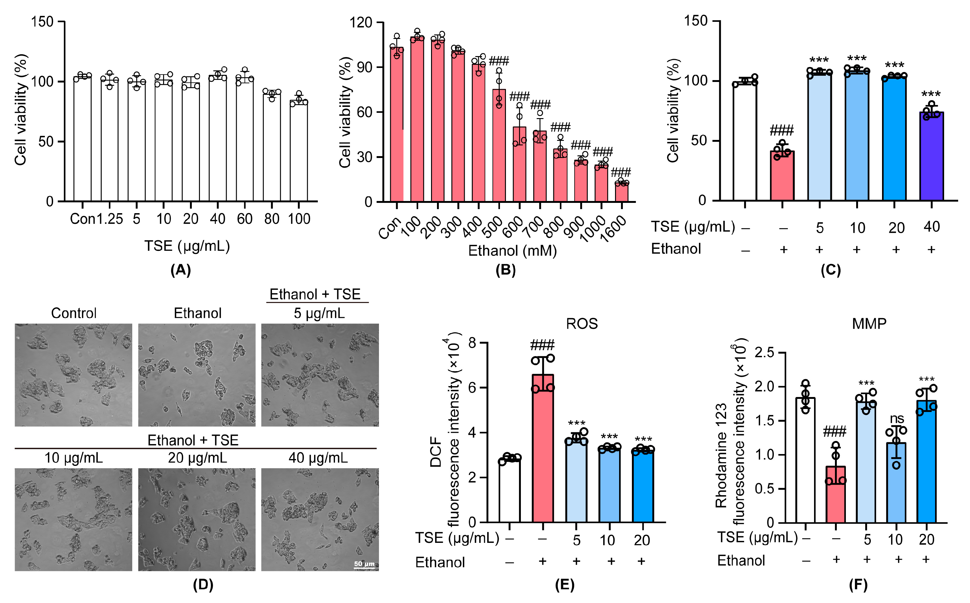 Foods 12 01078 g002 Foods 12 01078 g002