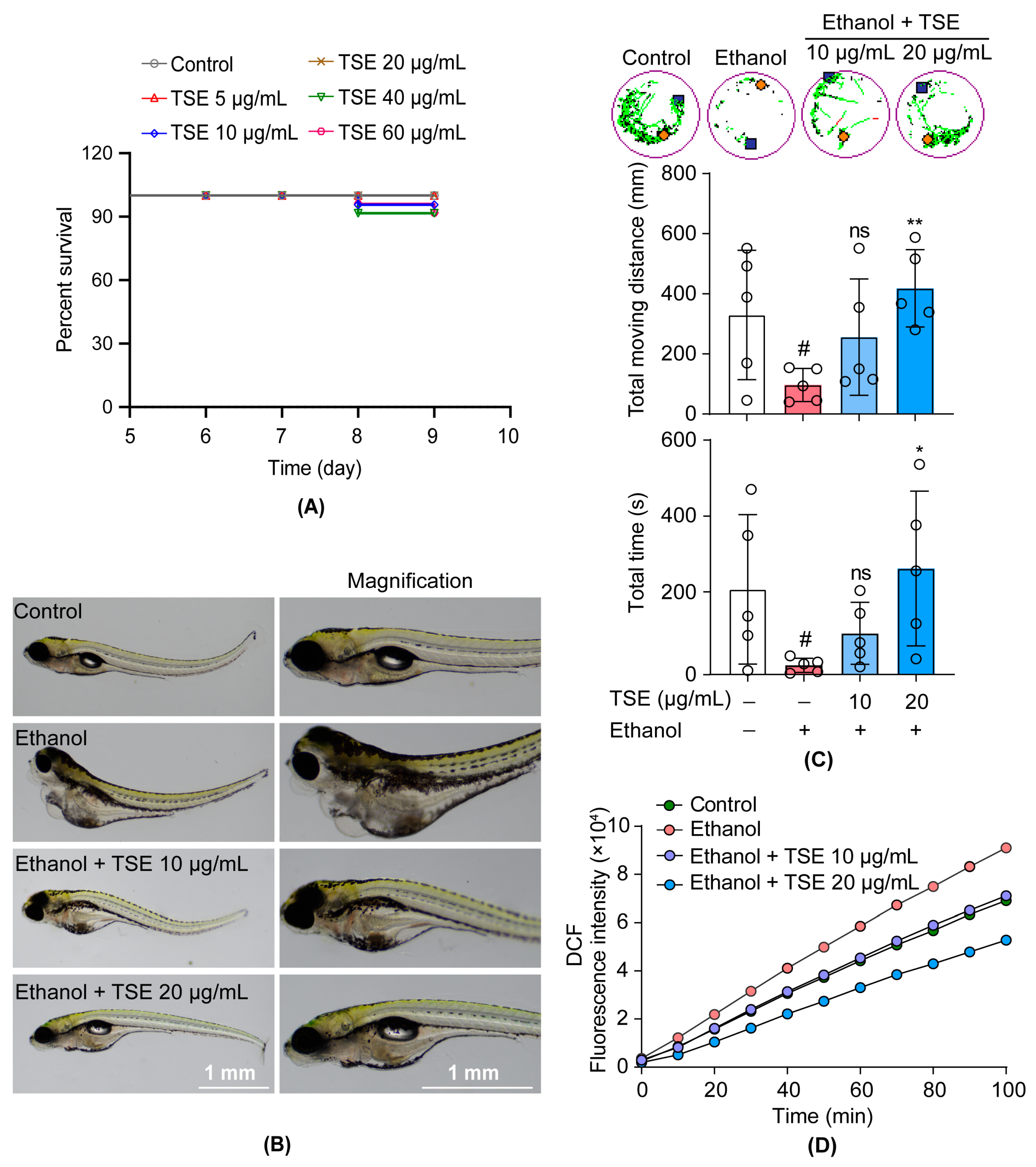 Foods 12 01078 g003 Foods 12 01078 g003