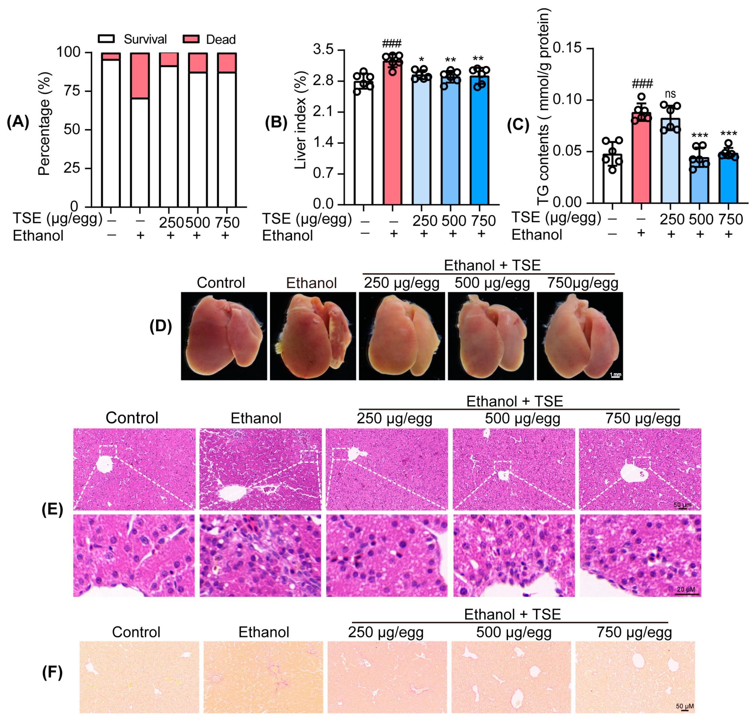Foods 12 01078 g004 Foods 12 01078 g004