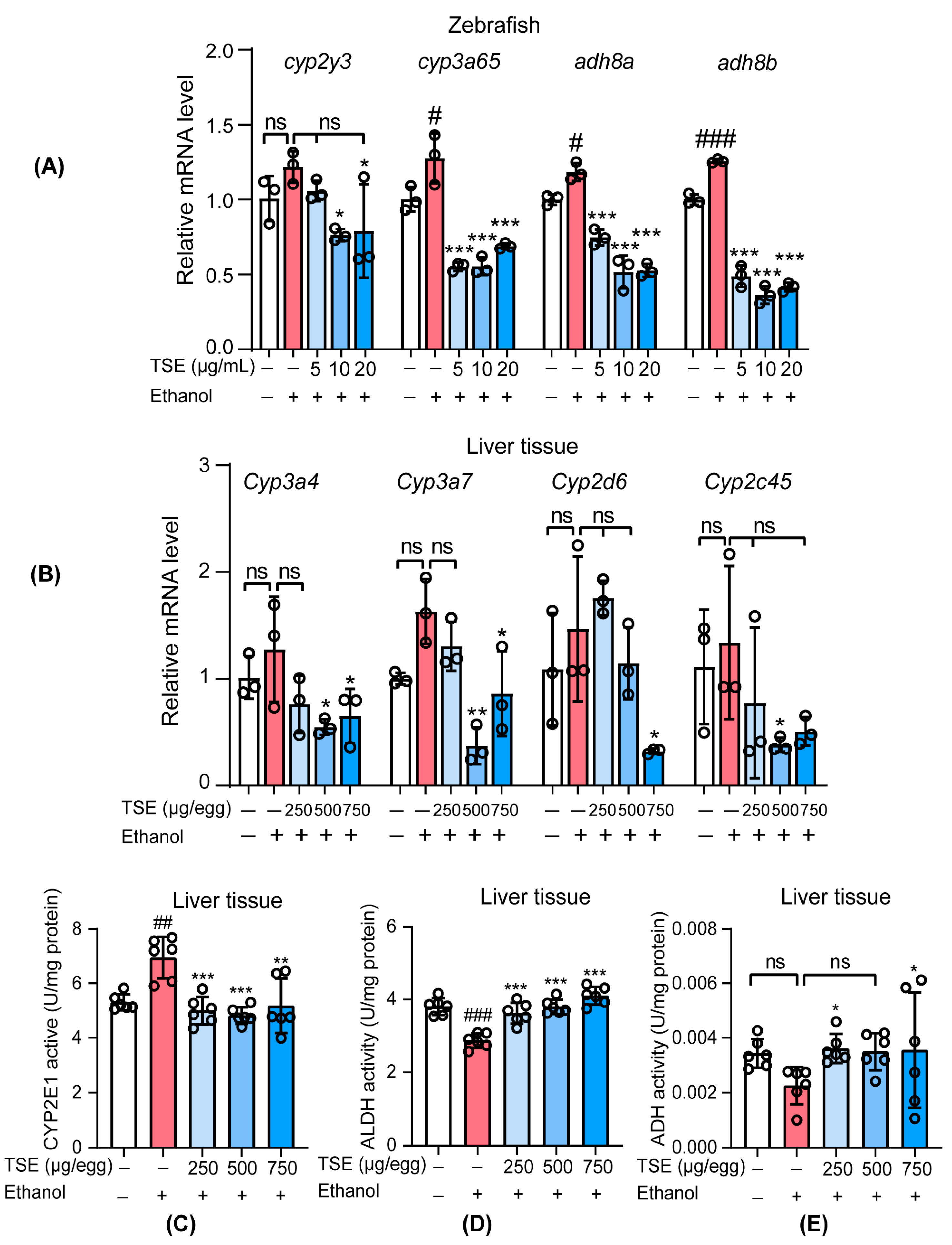 Foods 12 01078 g005 Foods 12 01078 g005