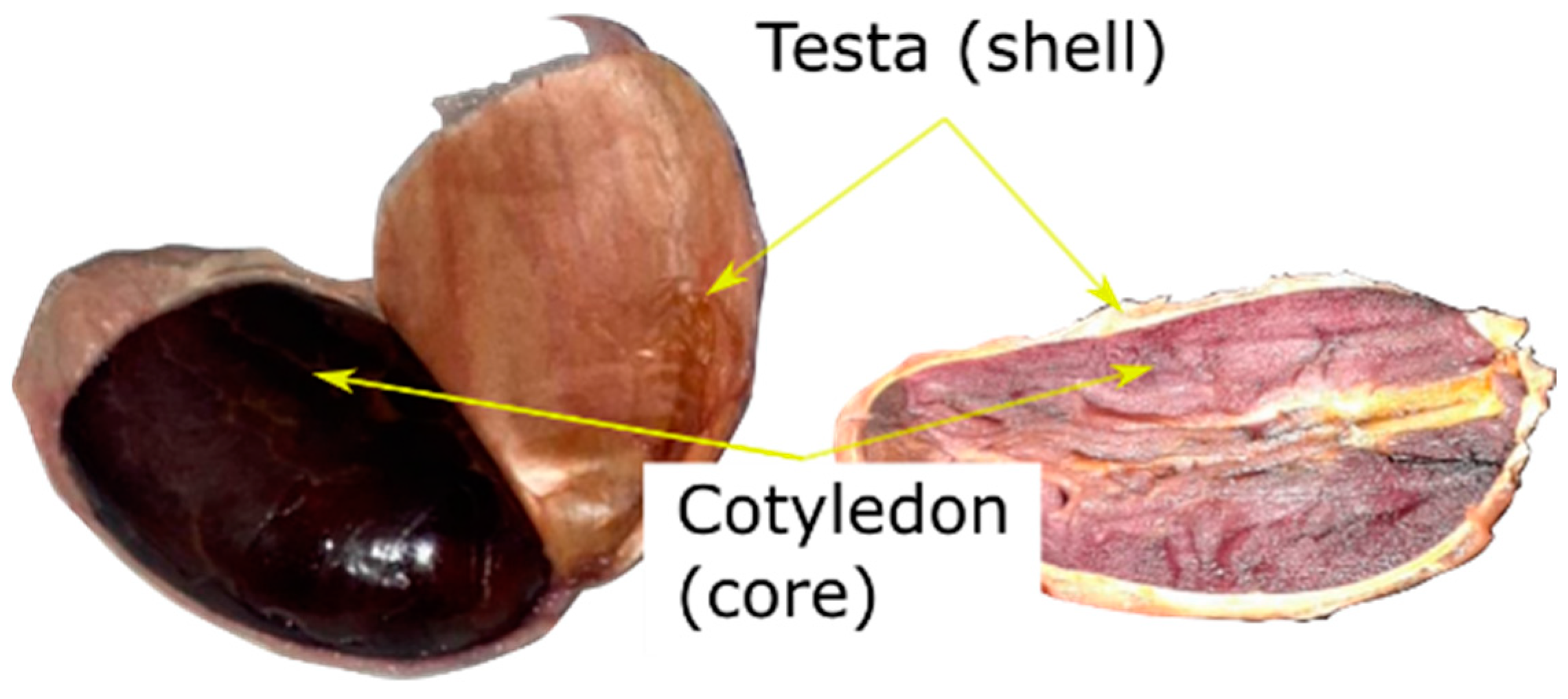 Foods 12 01082 g001 550