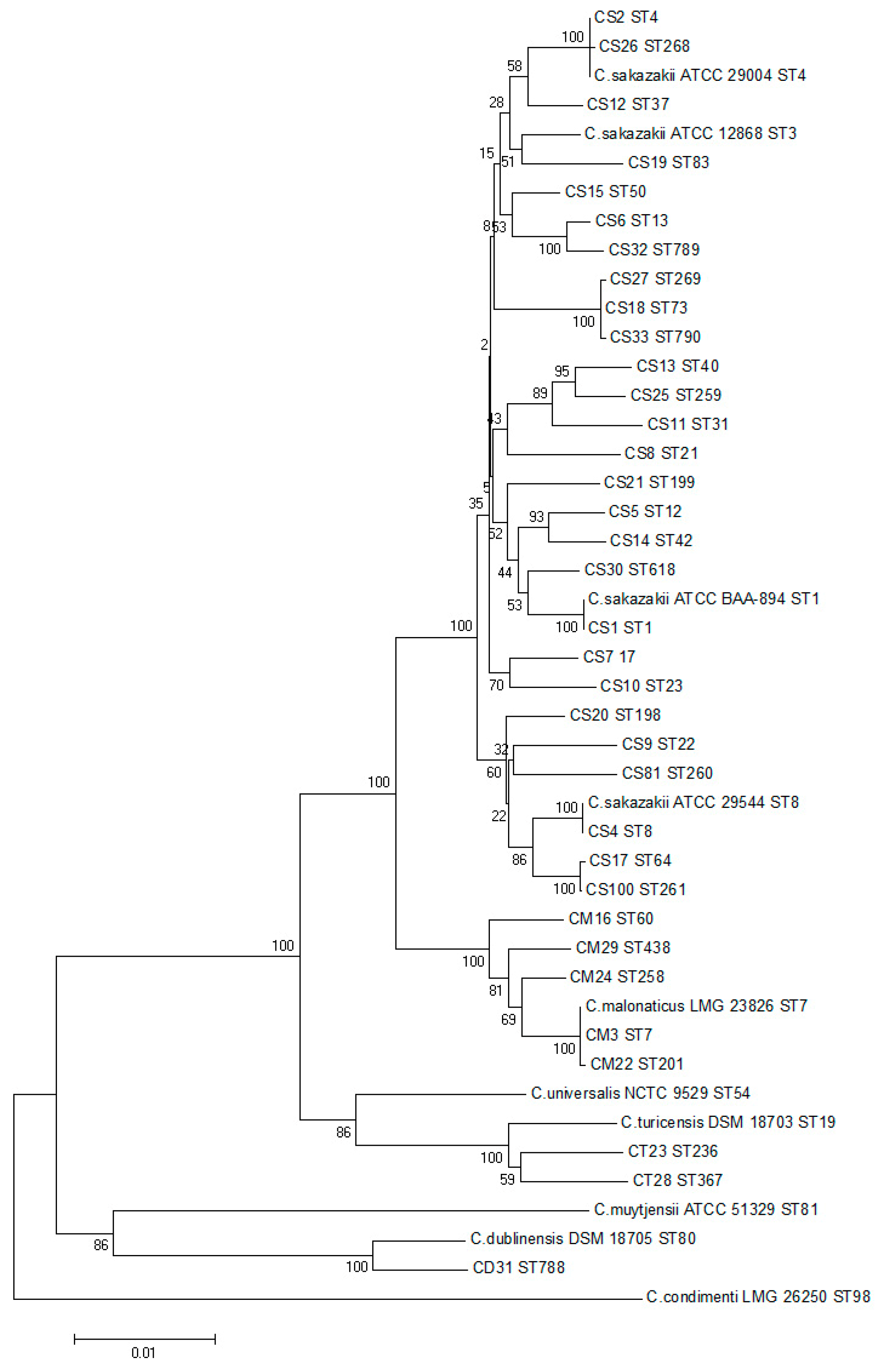 Foods 12 01084 g002 Foods 12 01084 g002