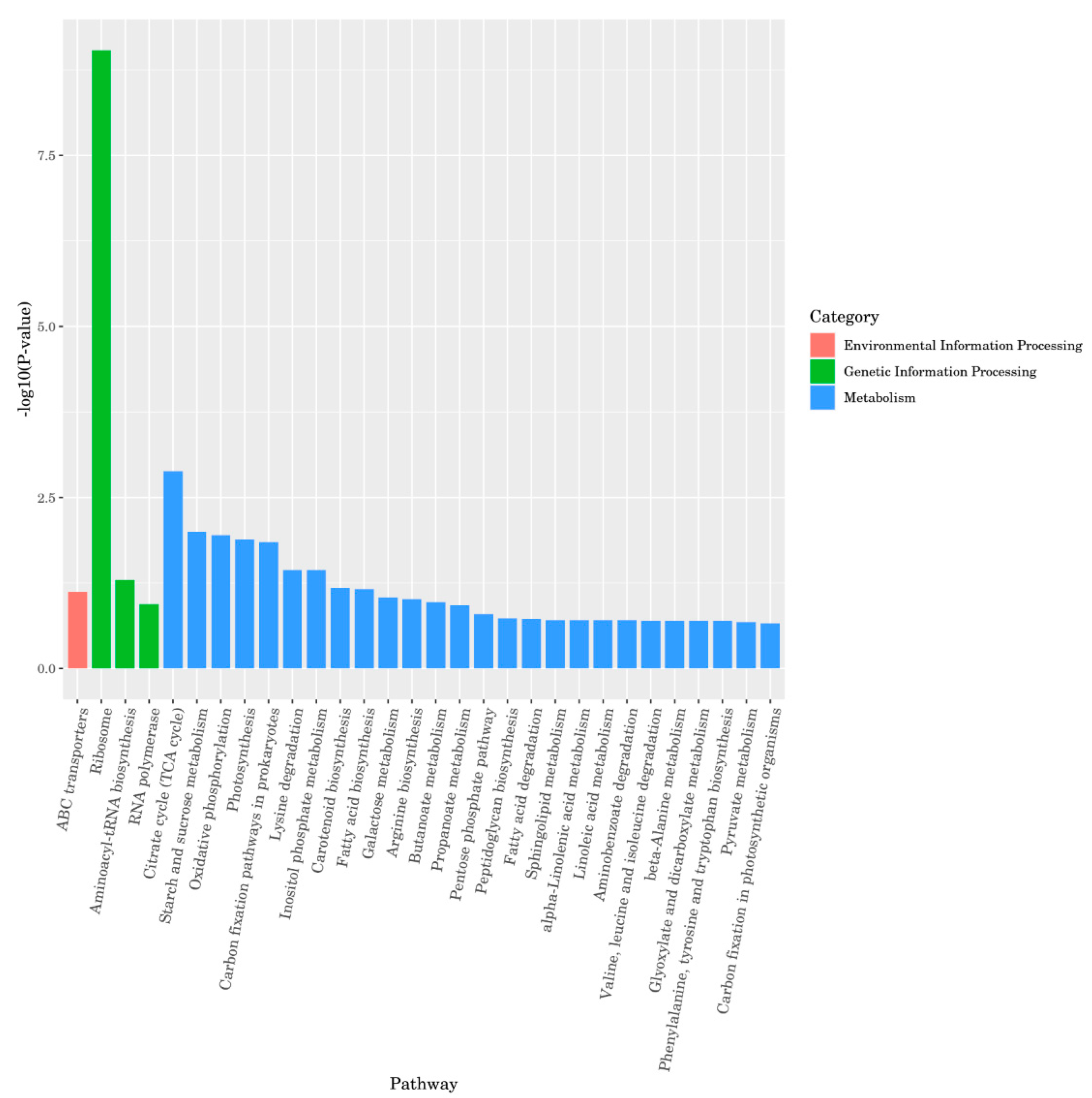 Foods 12 01084 g004 Foods 12 01084 g004