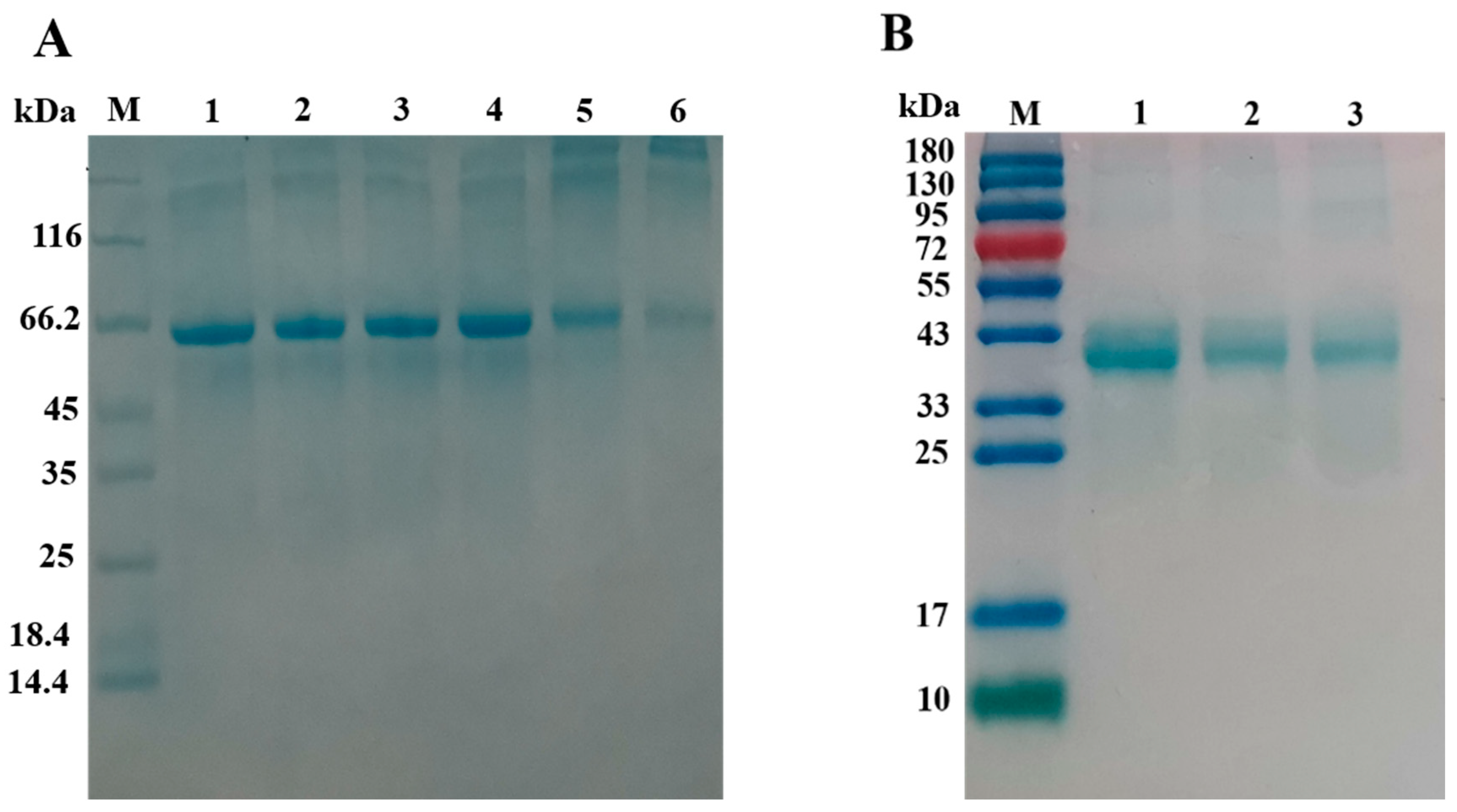 Foods 12 01091 g003 Foods 12 01091 g003