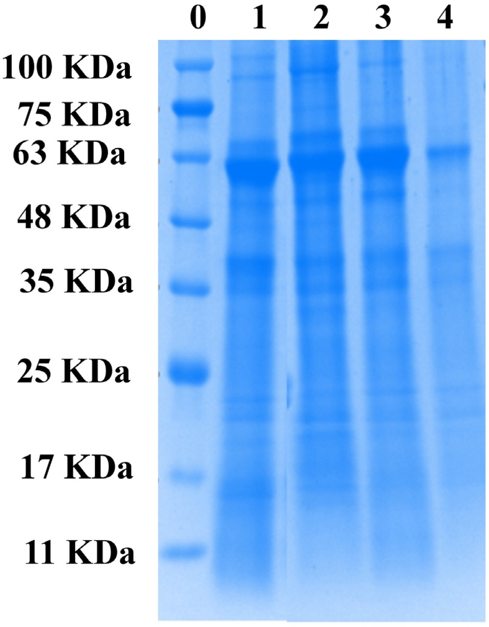 Foods 12 01116 g004 Foods 12 01116 g004